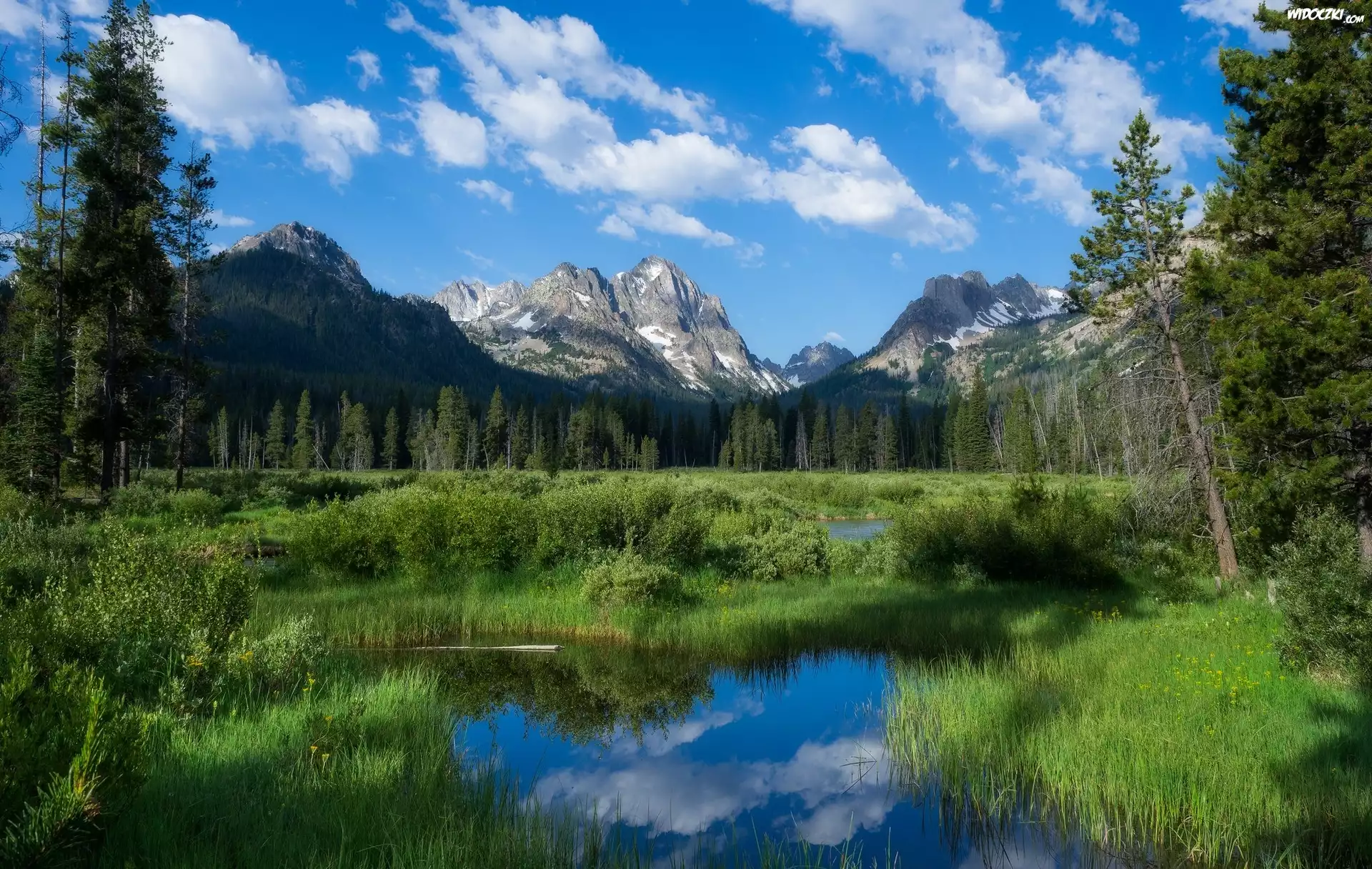 Stany Zjednoczone, Stan Idaho, Góry Sawtooth Range, Szczyt Horstmann Peak, Drzewa, Rozlewiska, Trawa