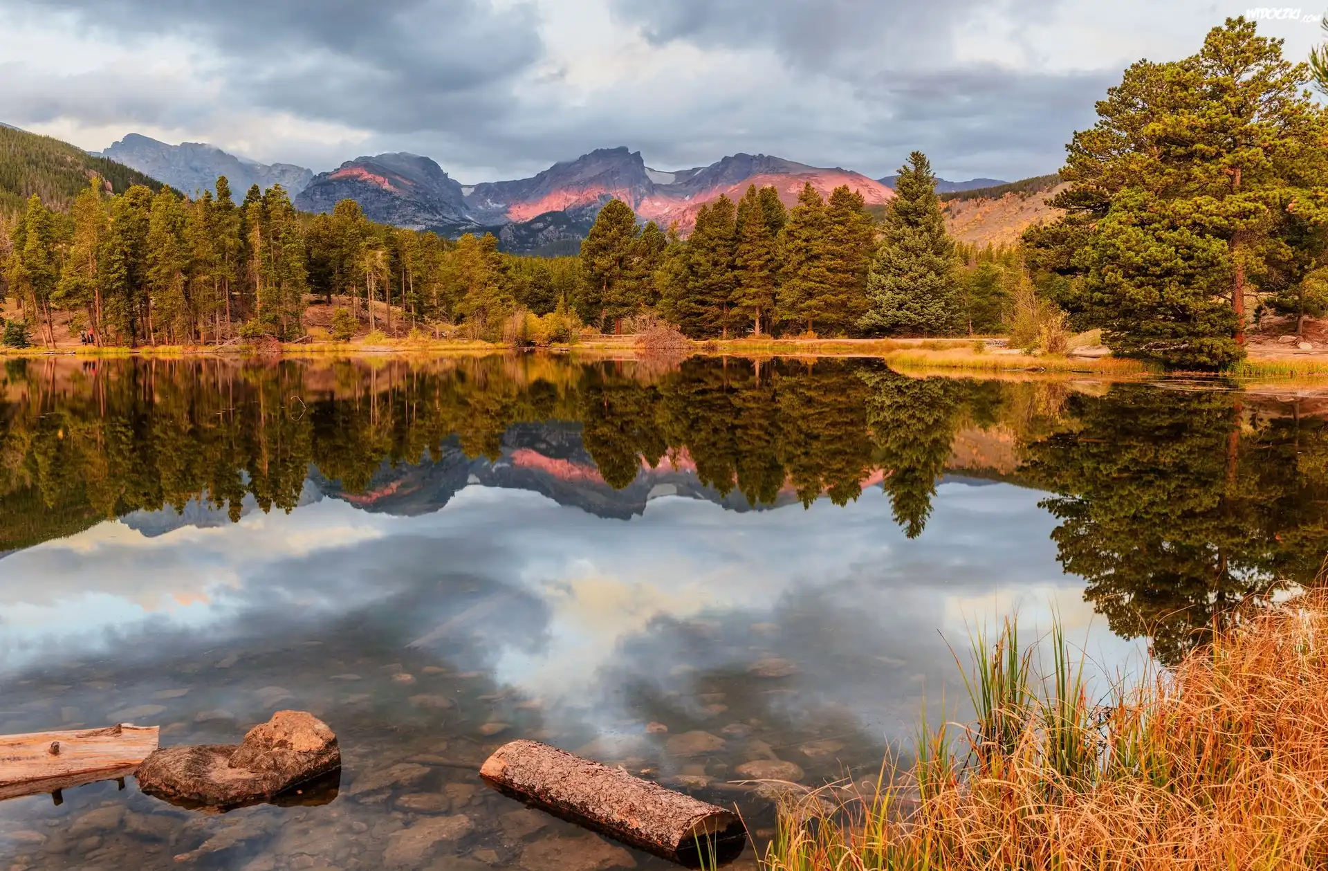 Stany Zjednoczone, Stan Kolorado, Hrabstwo Larimer, Park Narodowy Gór Skalistych, Jezioro Bierstadt Lake, Jezioro, Drzewa