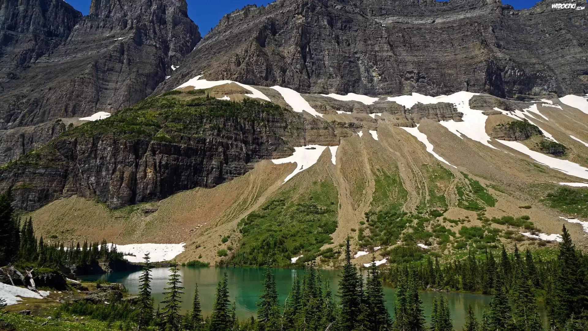 Stany Zjednoczone, Stan Montana, Park Narodowy Glacier, Jezioro Iceberg Lake, Góry, Świerki, Śnieg