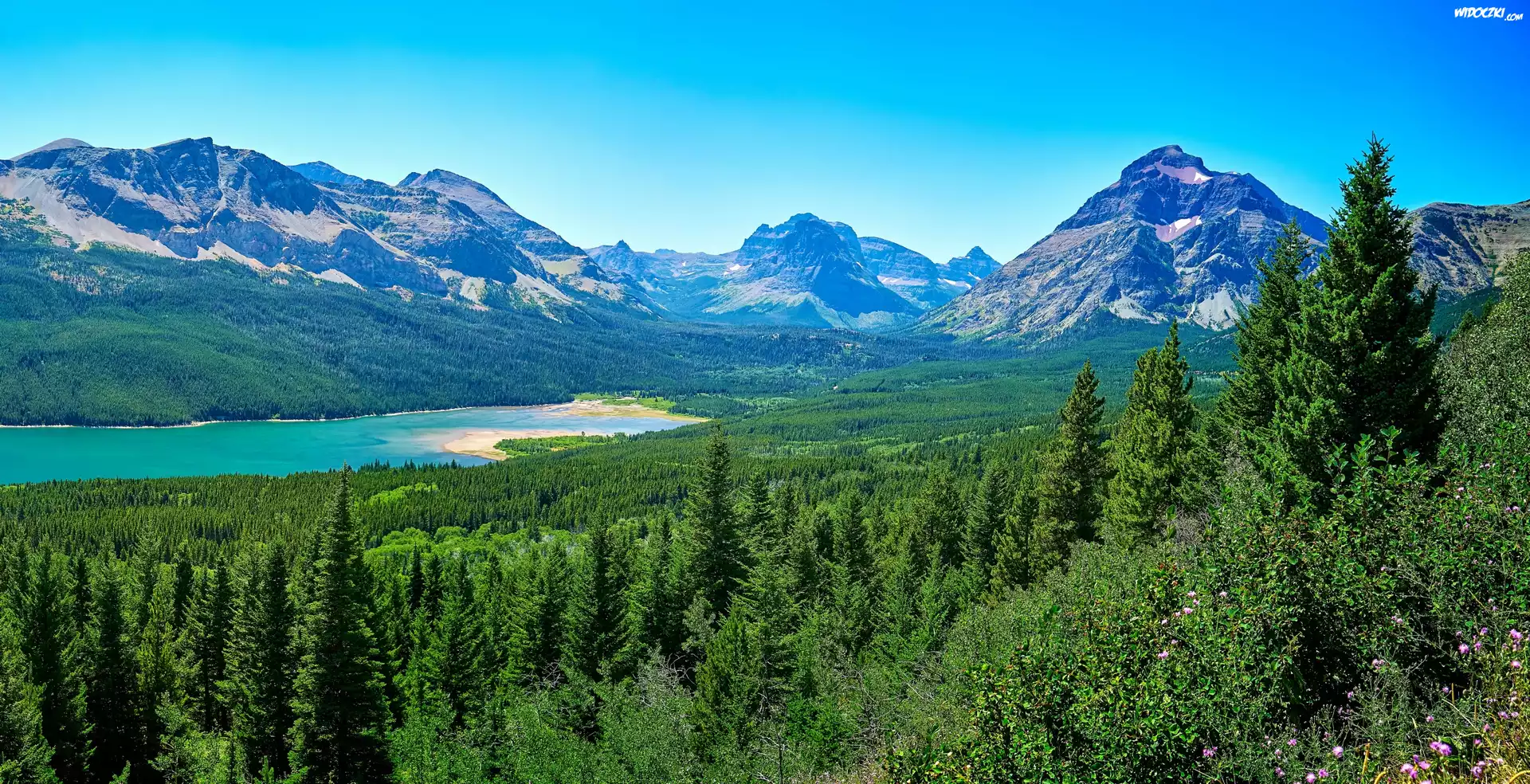 Stany Zjednoczone, Stan Montana, Park Narodowy Glacier, Góry, Jezioro Saint Mary Lake, Drzewa