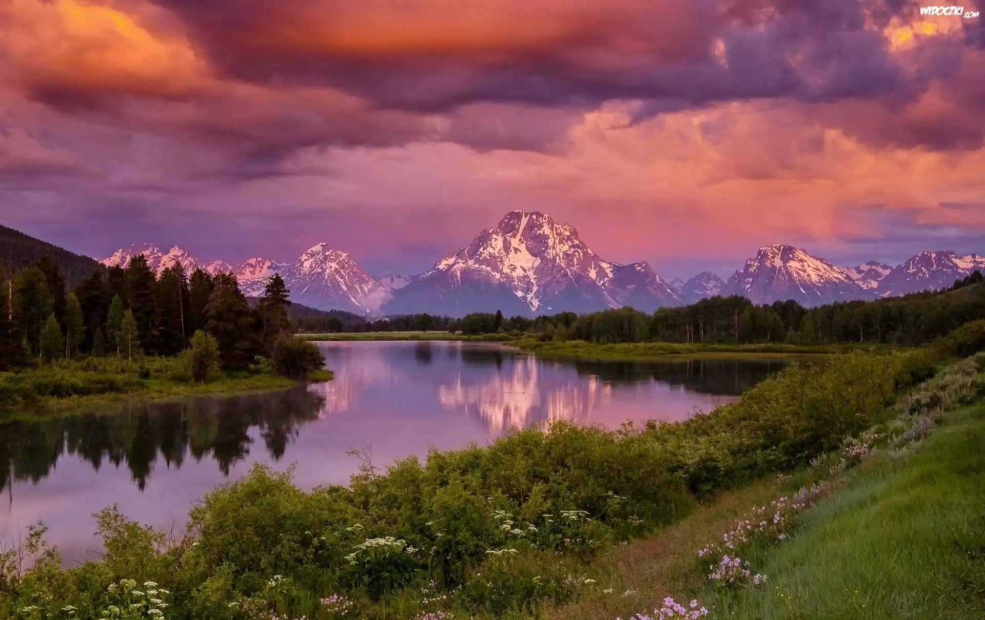 Stany Zjednoczone, Stan Wyoming, Park Narodowy Grand Teton, Rzeka Snake River, Góry, Góra Mount Moran, Drzewa