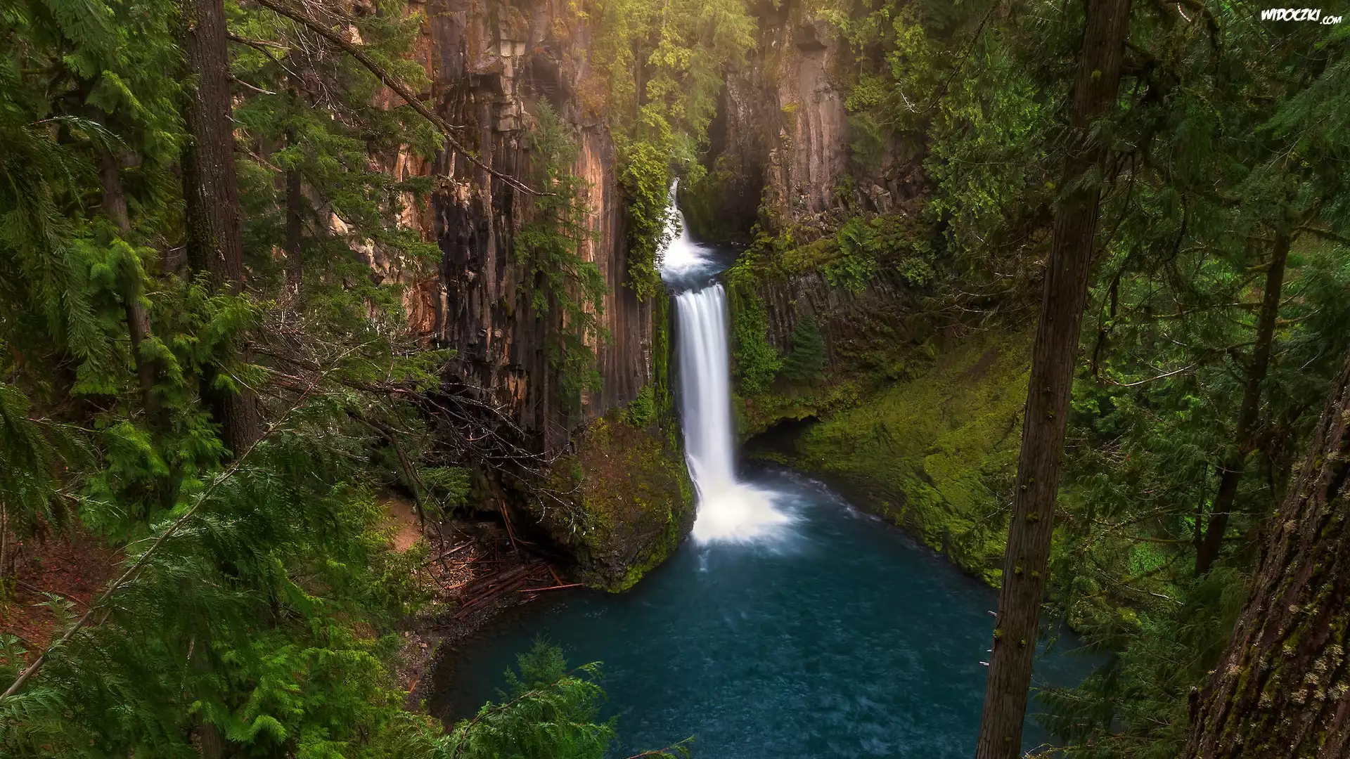 Stany Zjednoczone, Stan Oregon, Park Narodowy Jeziora Kraterowego, Wodospad, Toketee Falls, Skały, Roślinność
