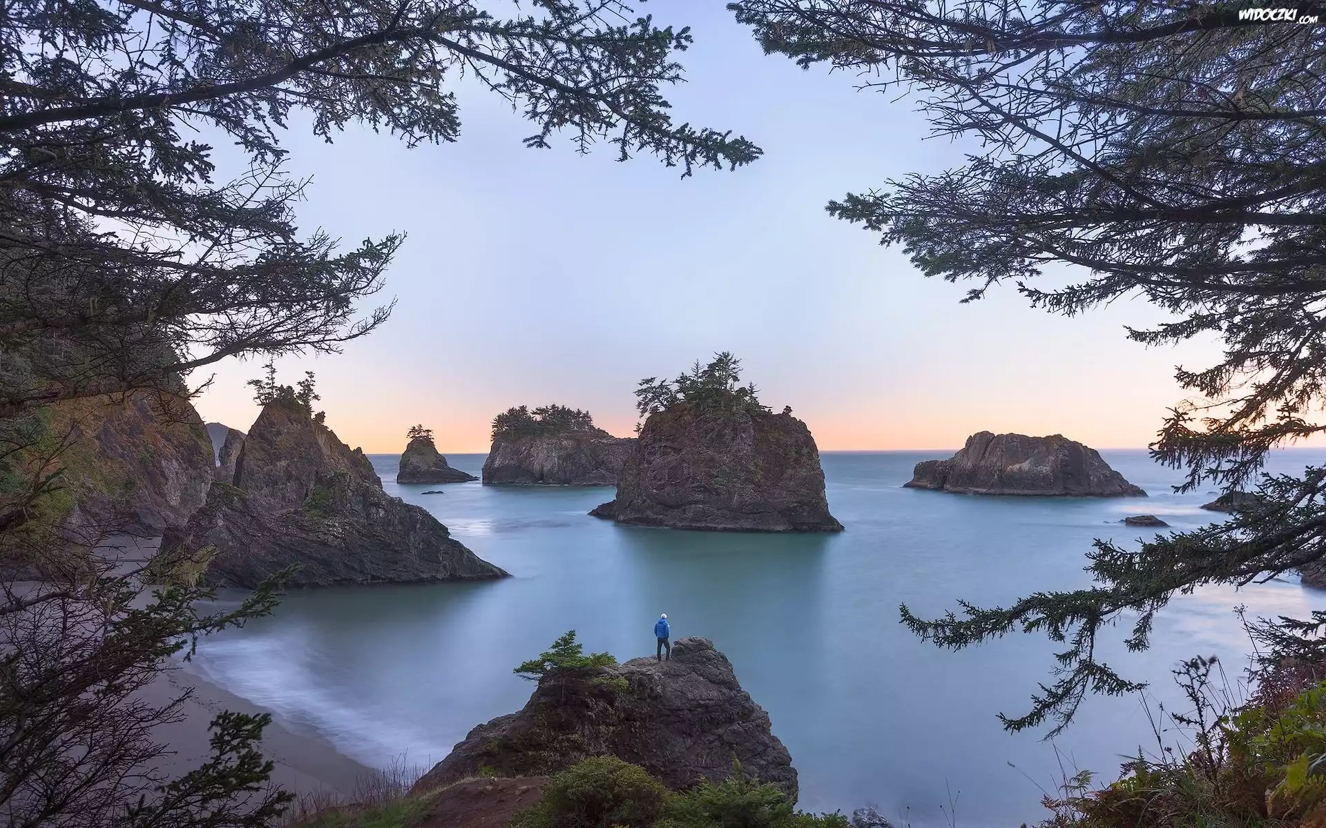 Stany Zjednoczone, Stan Oregon, Plaża, Secret Beach, Morze, Skały, Drzewa, Gałęzie, Wybrzeże, Człowiek