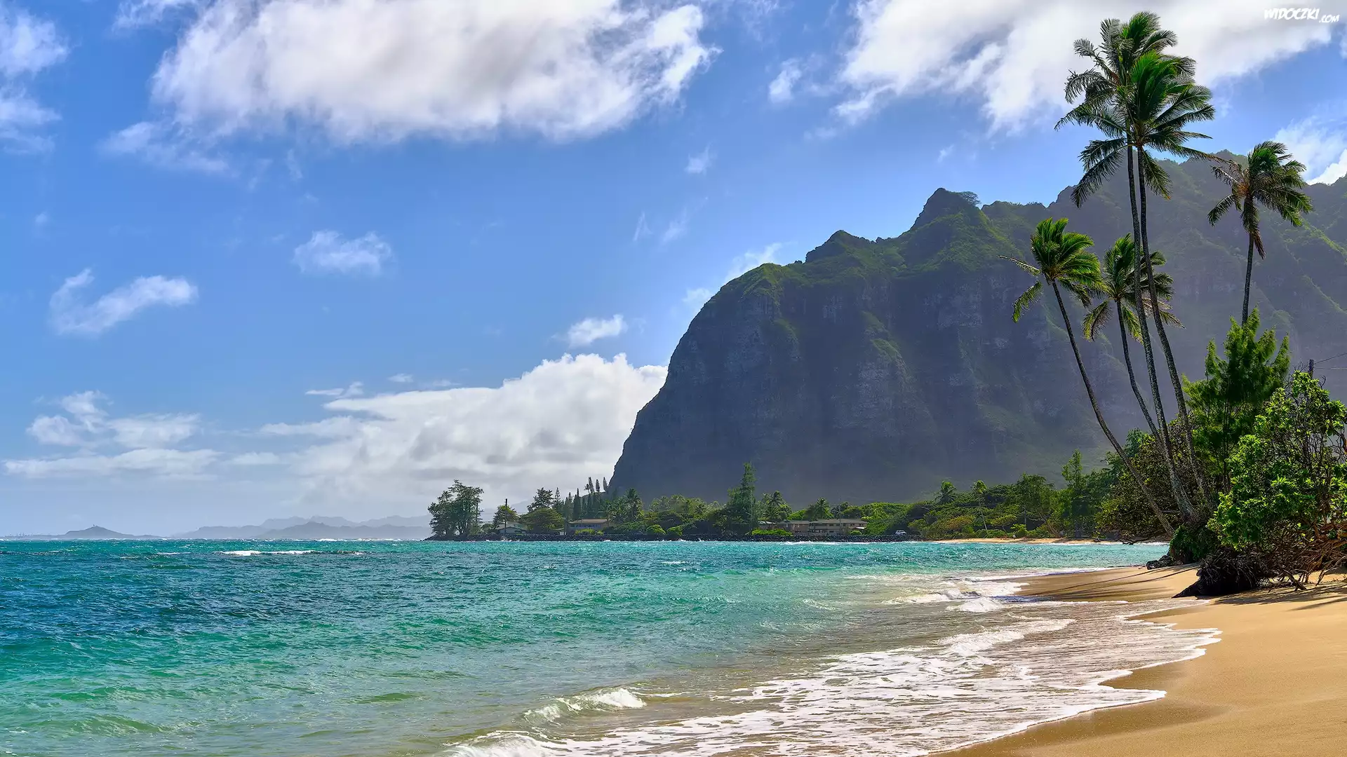 Stany Zjednoczone, Hawaje, Wyspa Oahu, Morze, Góra, Skała, Plaża, Palmy