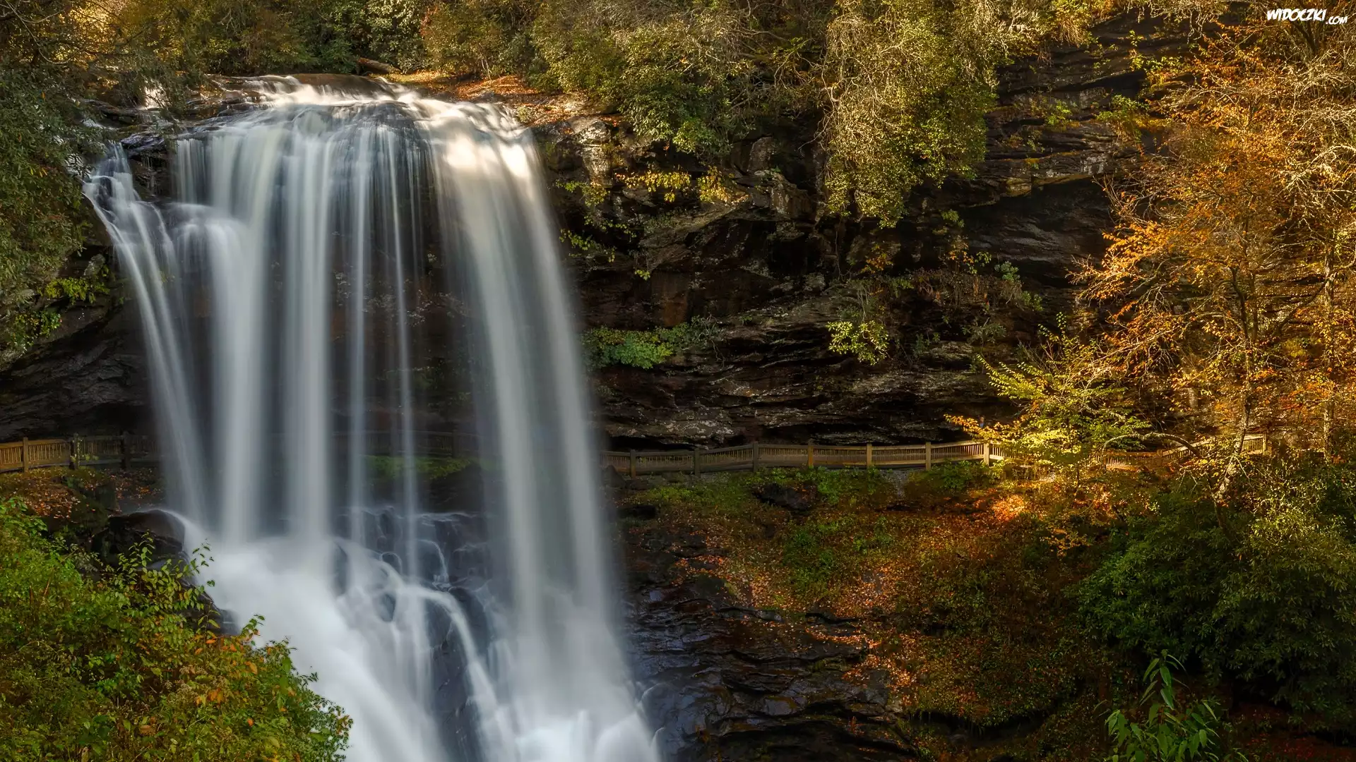 Stany Zjednoczone, Stan Karolina Północna, Highlands, Las państwowy, Nantahala National Forest, Wodospad Dry Falls, Skały, Drzewa