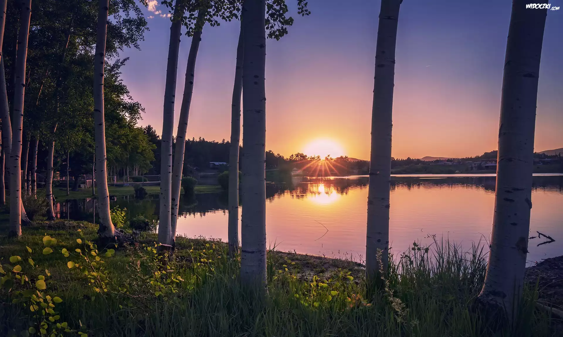 Stany Zjednoczone, Kolorado, Red Feather Lakes, Drzewa, Zachód słońca, Jezioro
