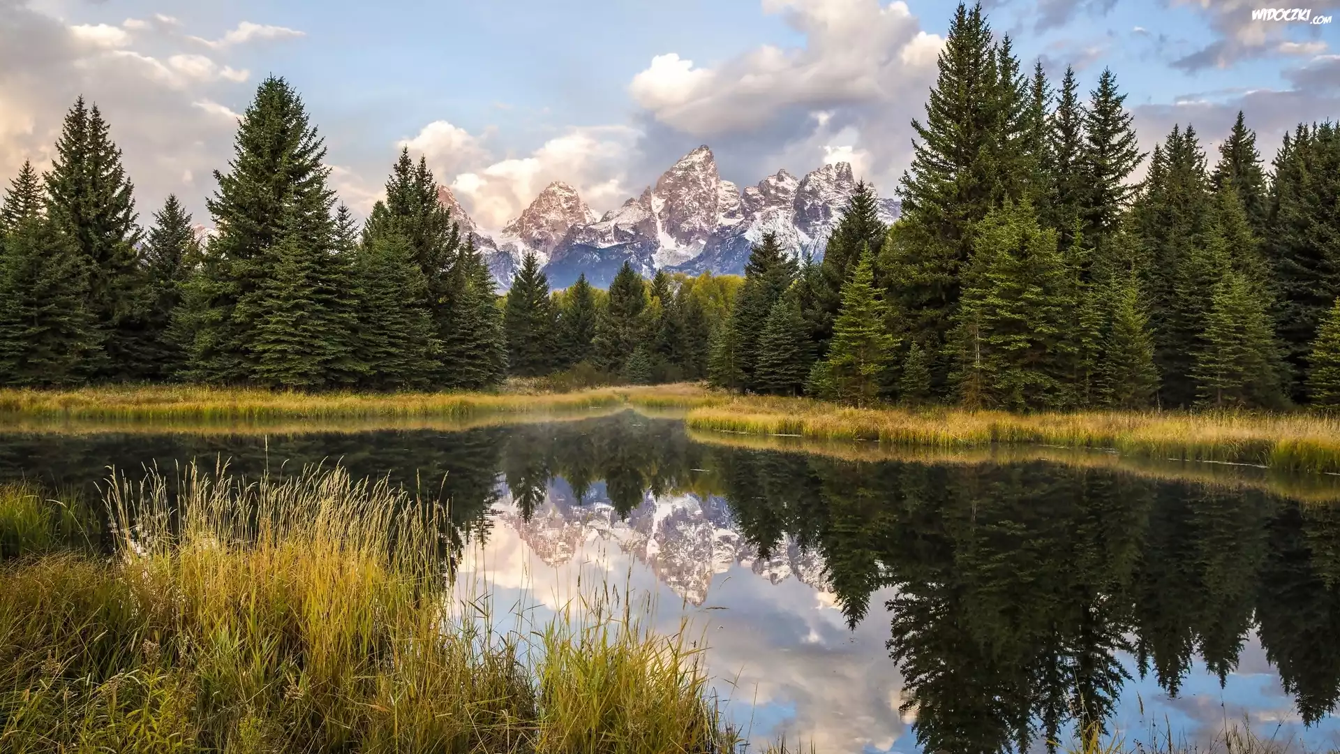 Stany Zjednoczone, Stan Wyoming, Park Narodowy Grand Teton, Rzeka Snake River, Góry Teton Range, Drzewa, Trawy, Odbicie