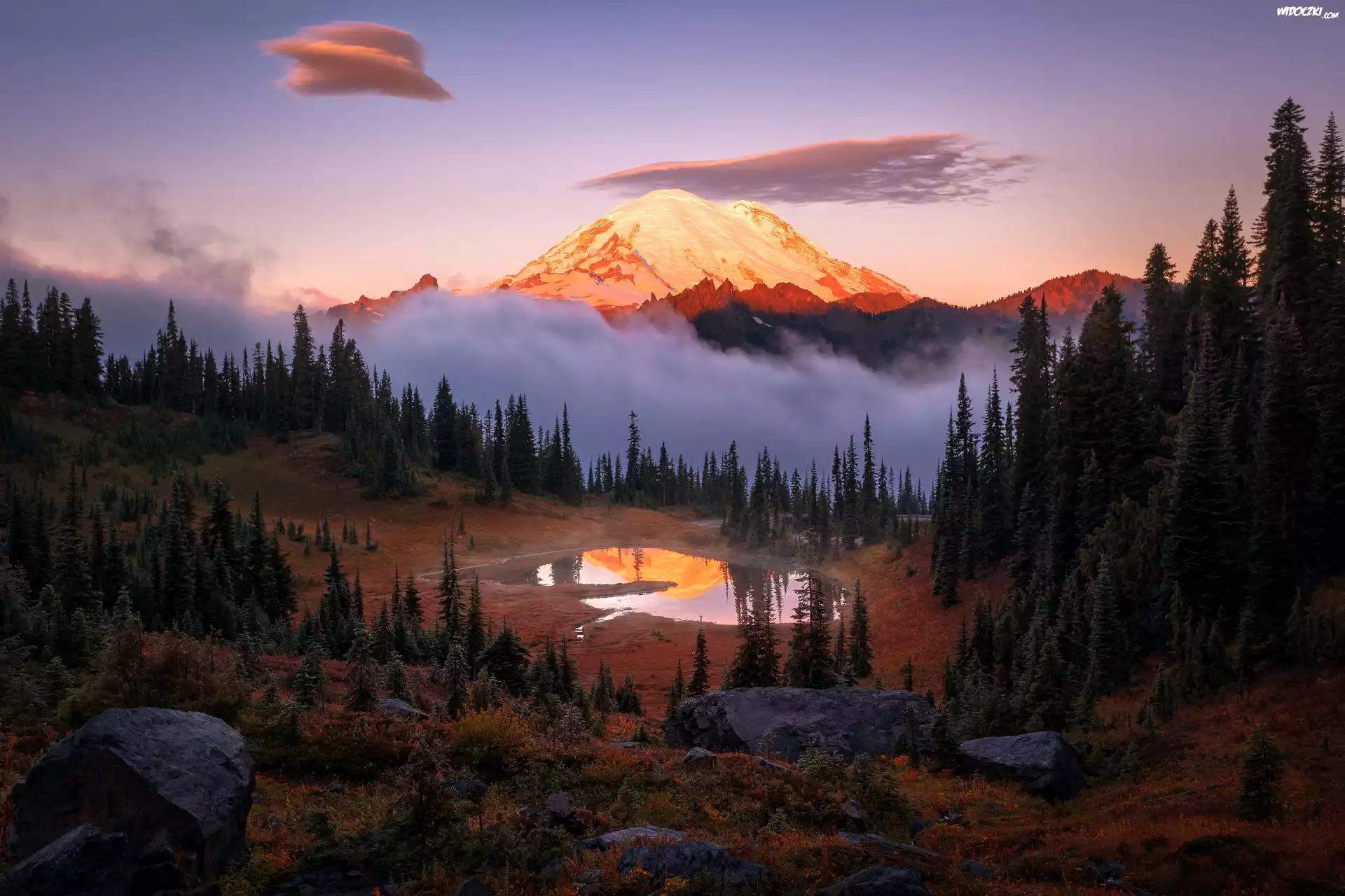 Stany Zjednoczone, Stan Waszyngton, Park Narodowy Mount Rainier, Góry, Stratowulkan Mount Rainier, Drzewa, Jezioro Tipsoo, Mgła