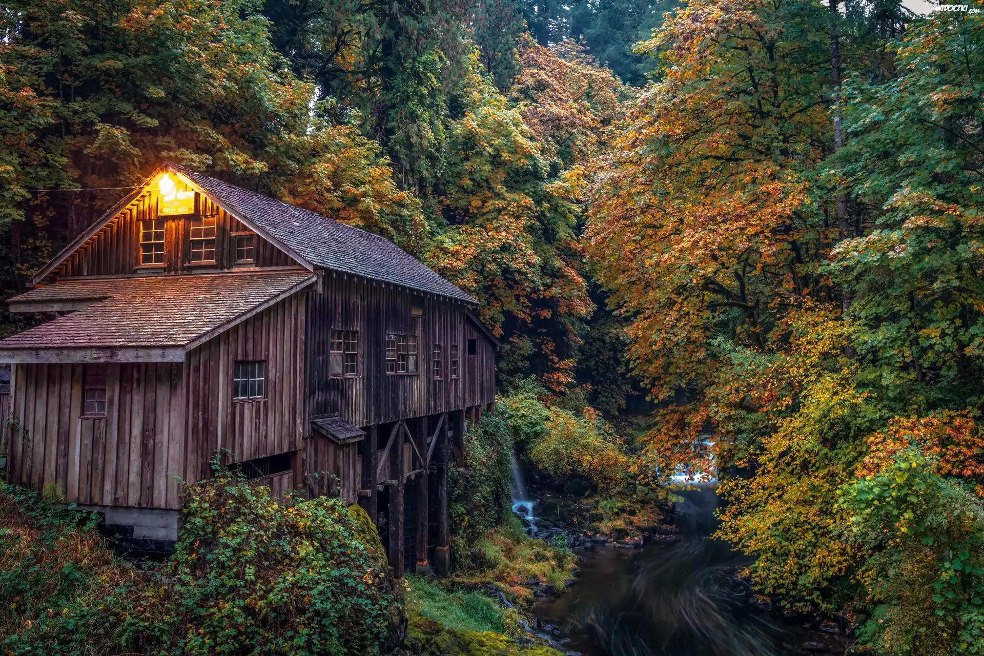 Stany Zjednoczone, Stan Washington, Woodland, Młyn Cedar Creek Grist Mill, Rzeka, Las, Jesień