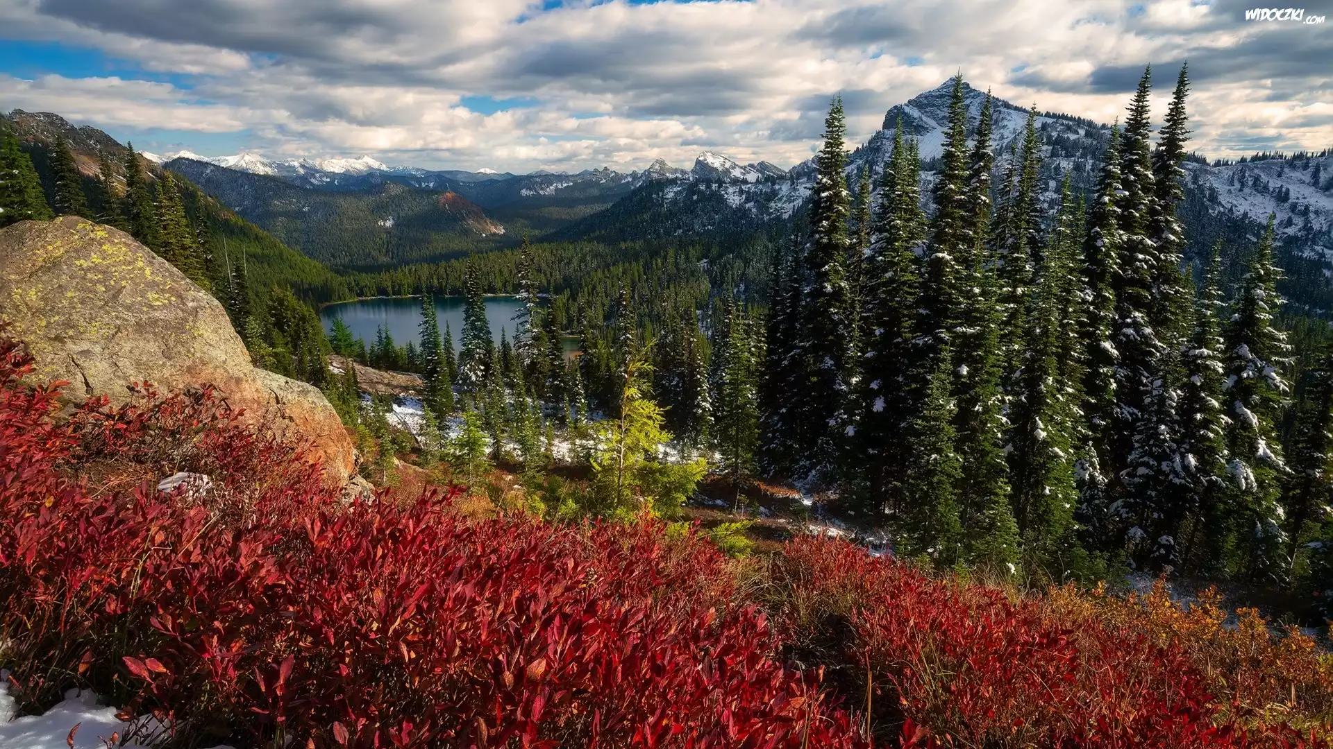 Stany Zjednoczone, Stan Waszyngton, Park Narodowy Mount Rainier, Góry, Lasy, Jezioro, Drzewa, Chmury