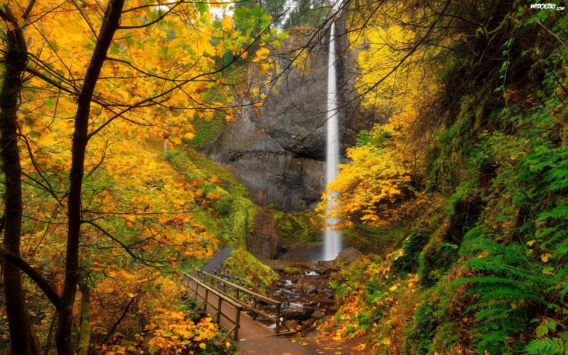Stany Zjednoczone, Oregon, Wodospad, Latourell Falls, Mostek, Drzewa, Roślinność, Skały, Kamienie, Jesień, Liście