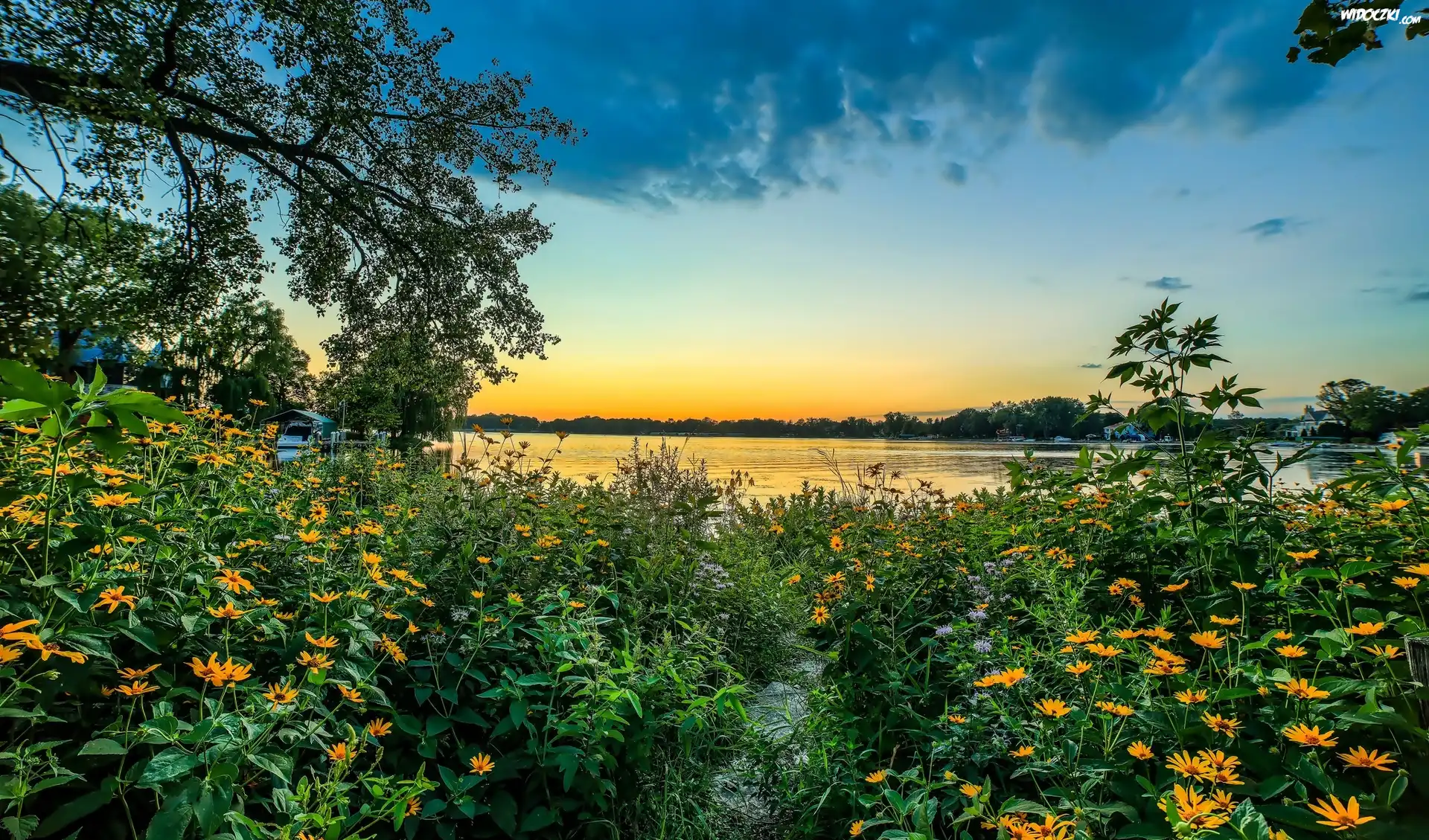 Stany Zjednoczone, Stan Minnesota, Miasto Minnetonka, Park Grays Bay Dam, Zatoka Grays Bay, Jezioro, Zachód Słońca