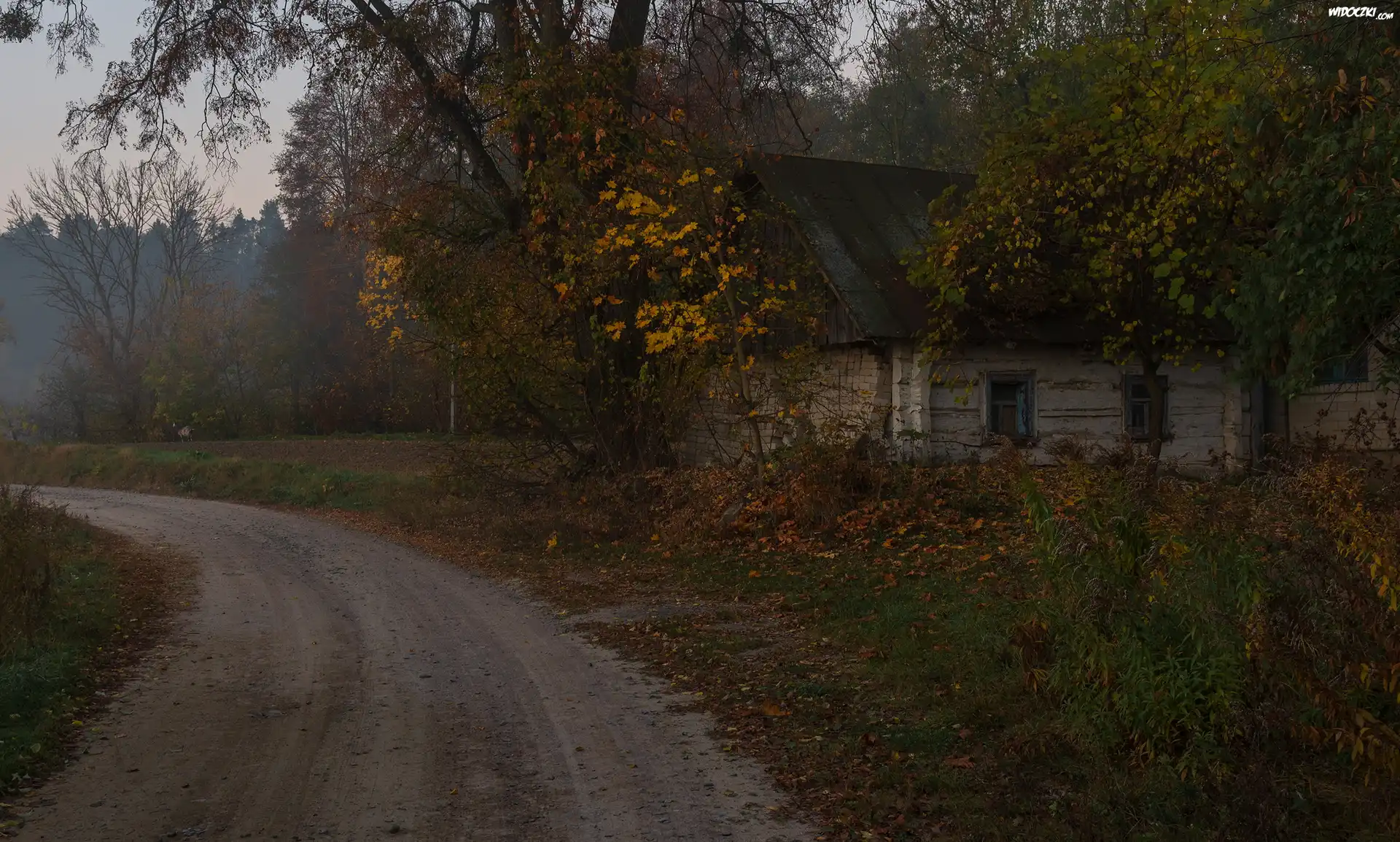 Stary, Drewniany, Domek, Droga, Drzewa, Jesień