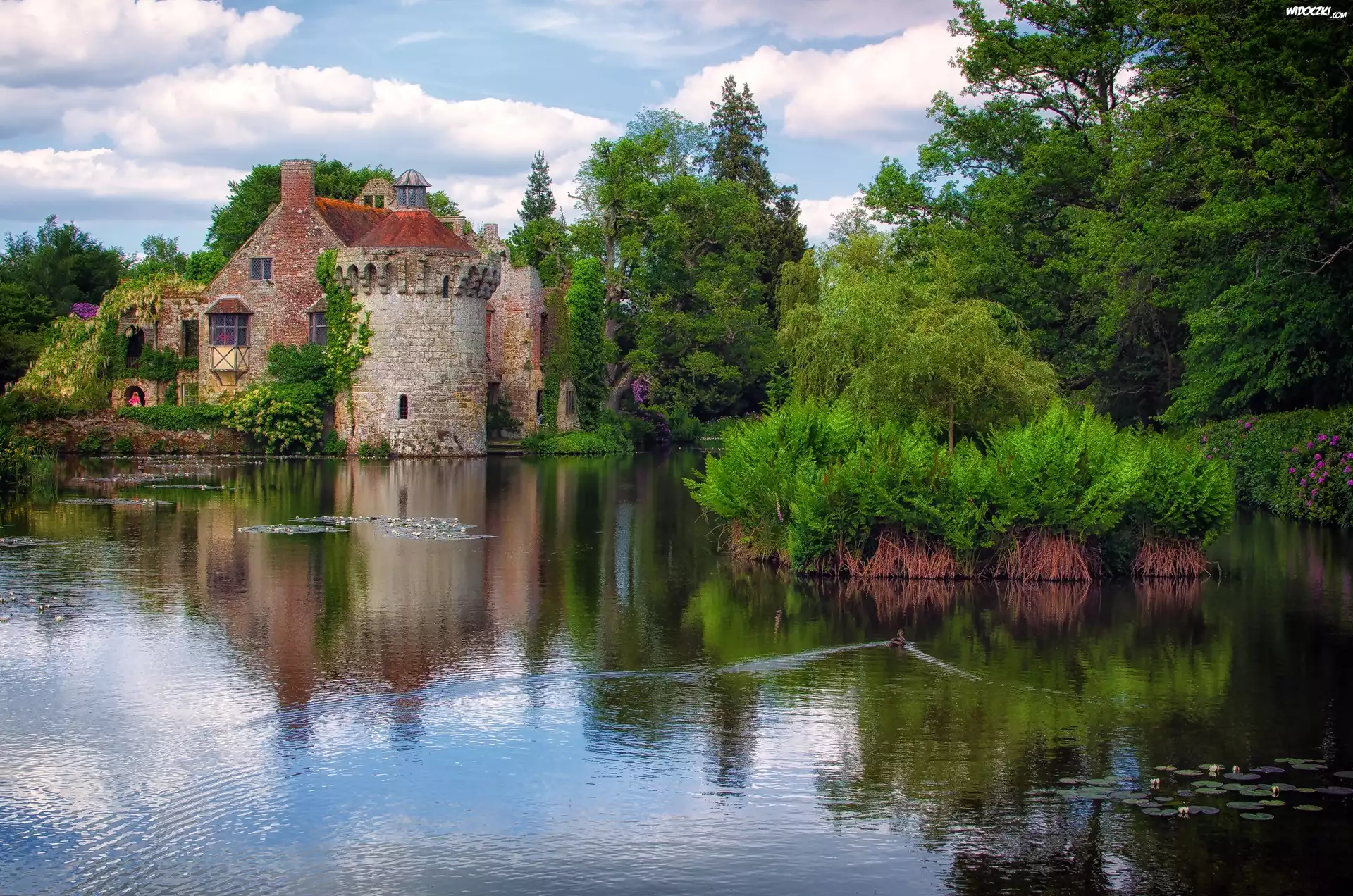 Zamek Scotney, Scotney Castle, WieÅ› Lamberhusrt, Hrabstwo Kent, Anglia, Jezioro