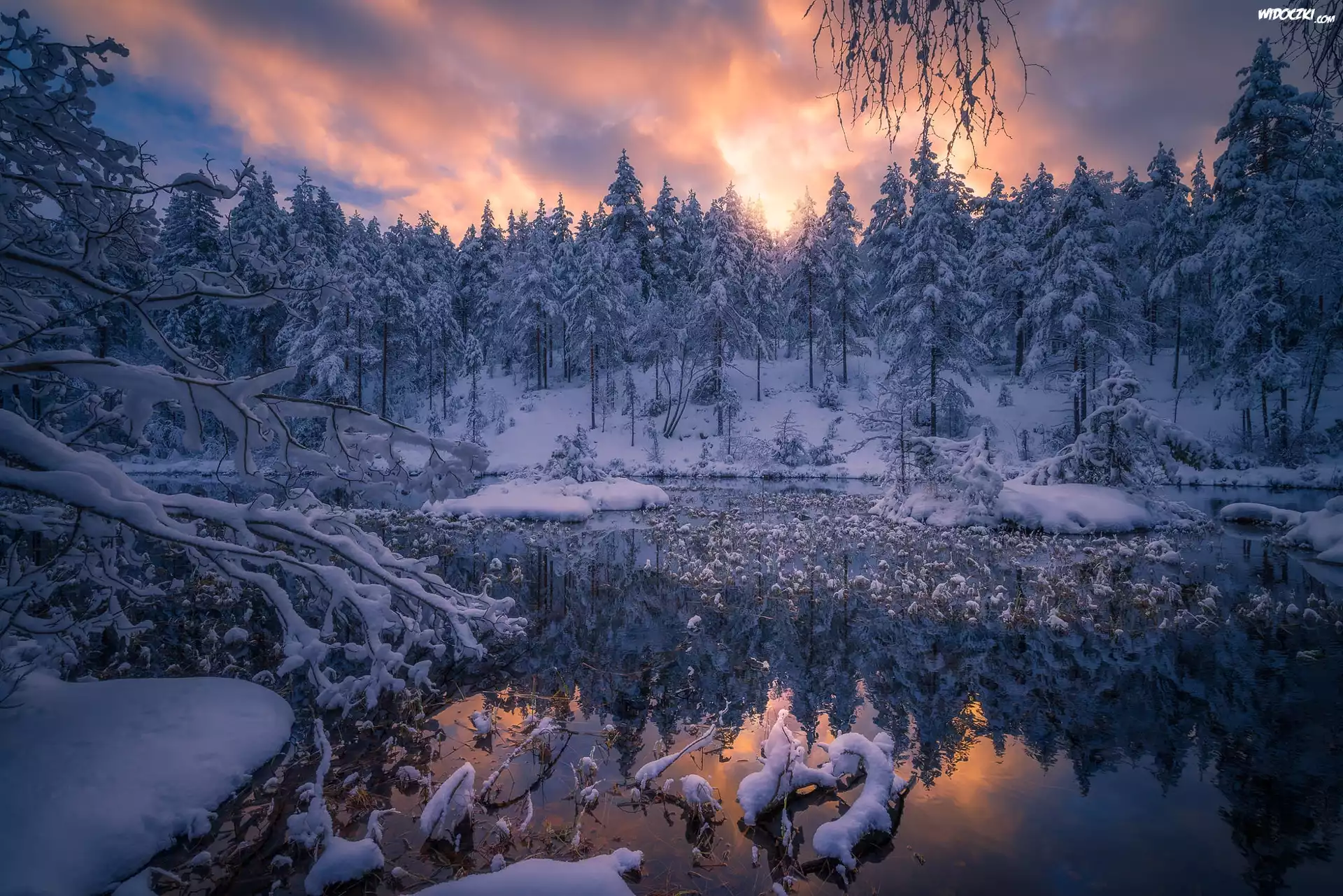 Norwegia, Staw, Gmina Ringerike, Zima, Drzewa, Åšnieg