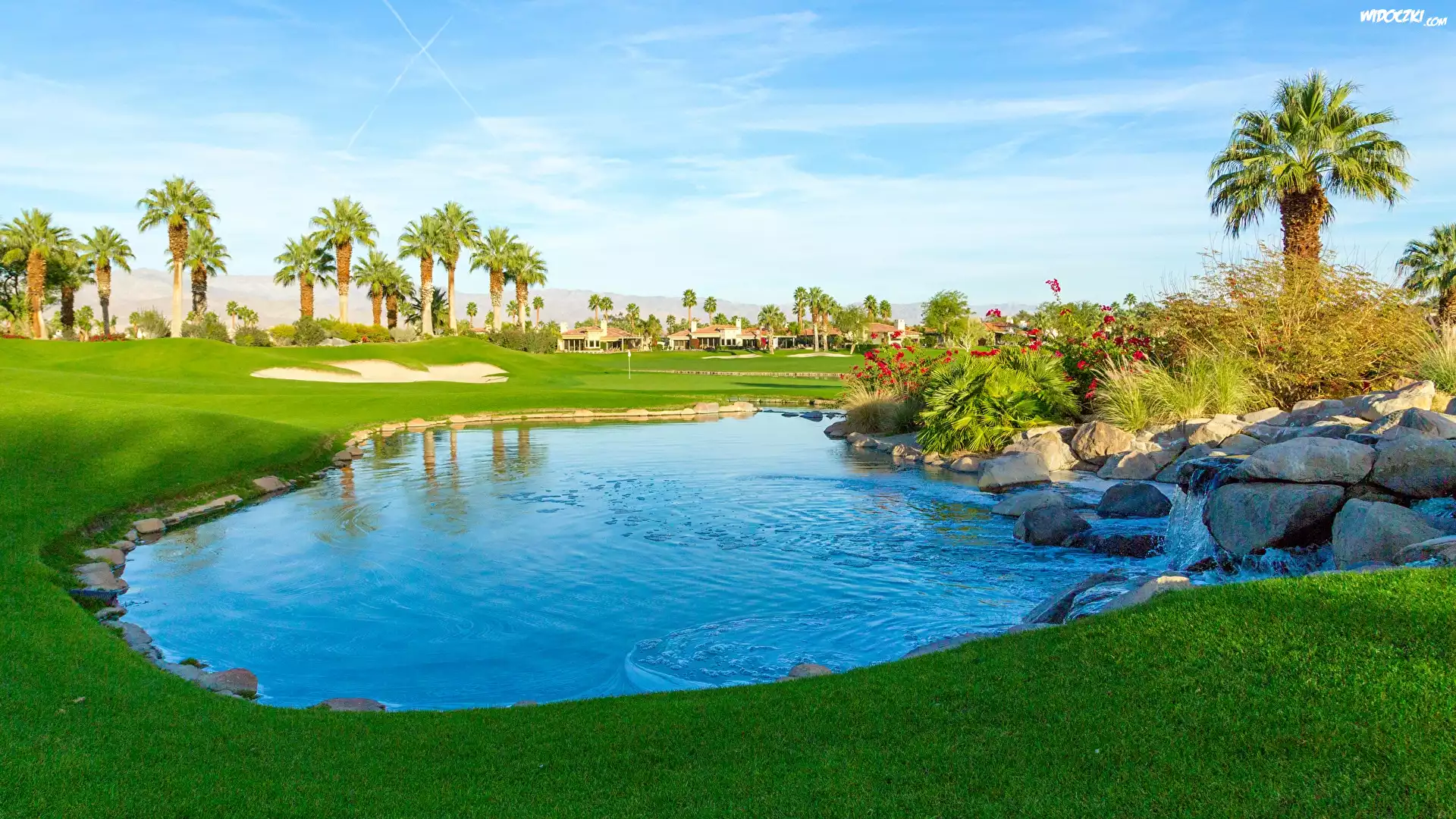 Pole golfowe, Staw, Kamienie, Palmy, Miejscowość Palm Springs, Kalifornia, Stany Zjednoczone