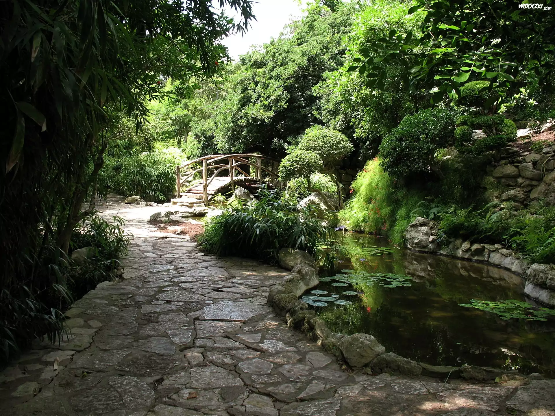 Park, Staw, Mostek