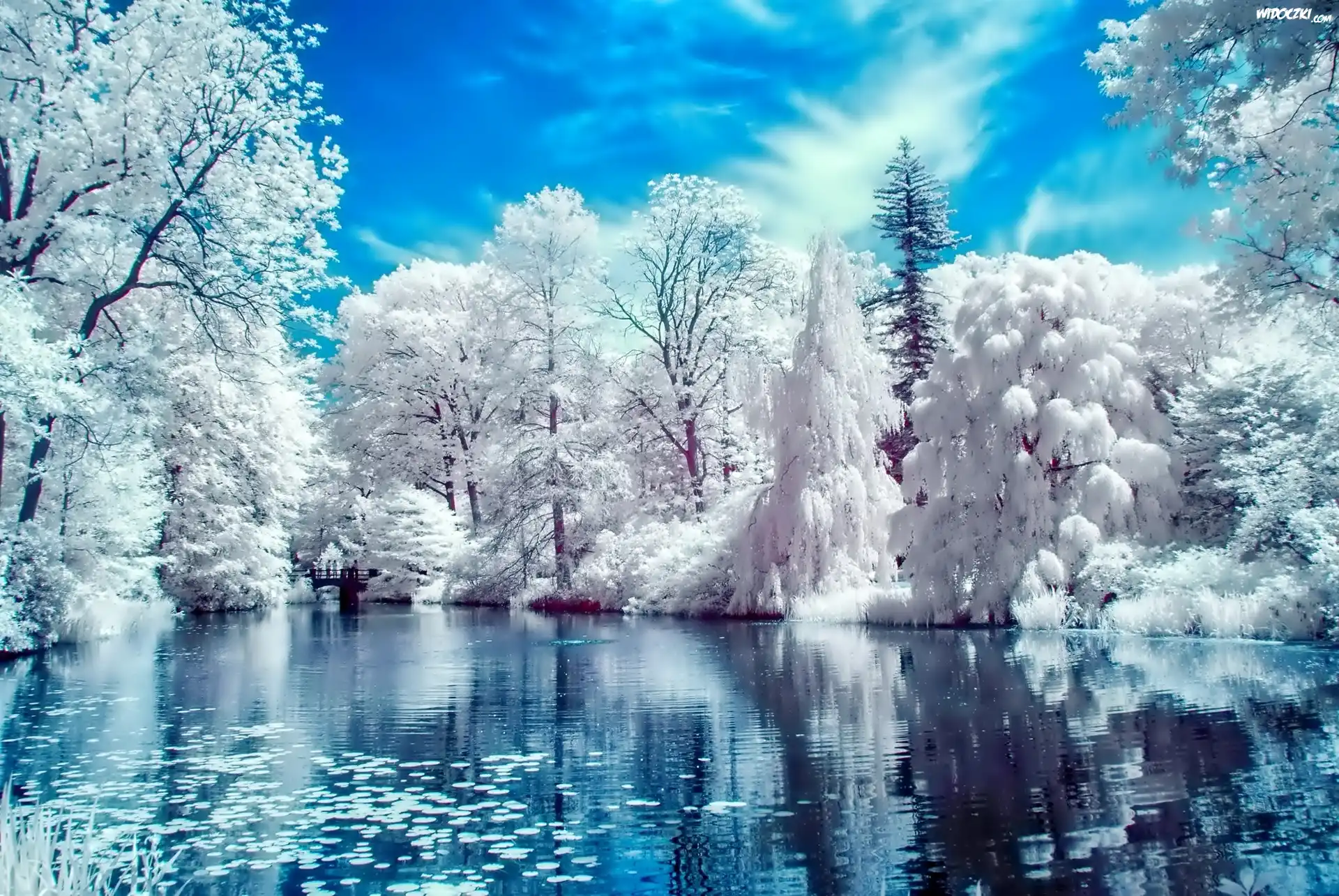 Zima, Staw, Park