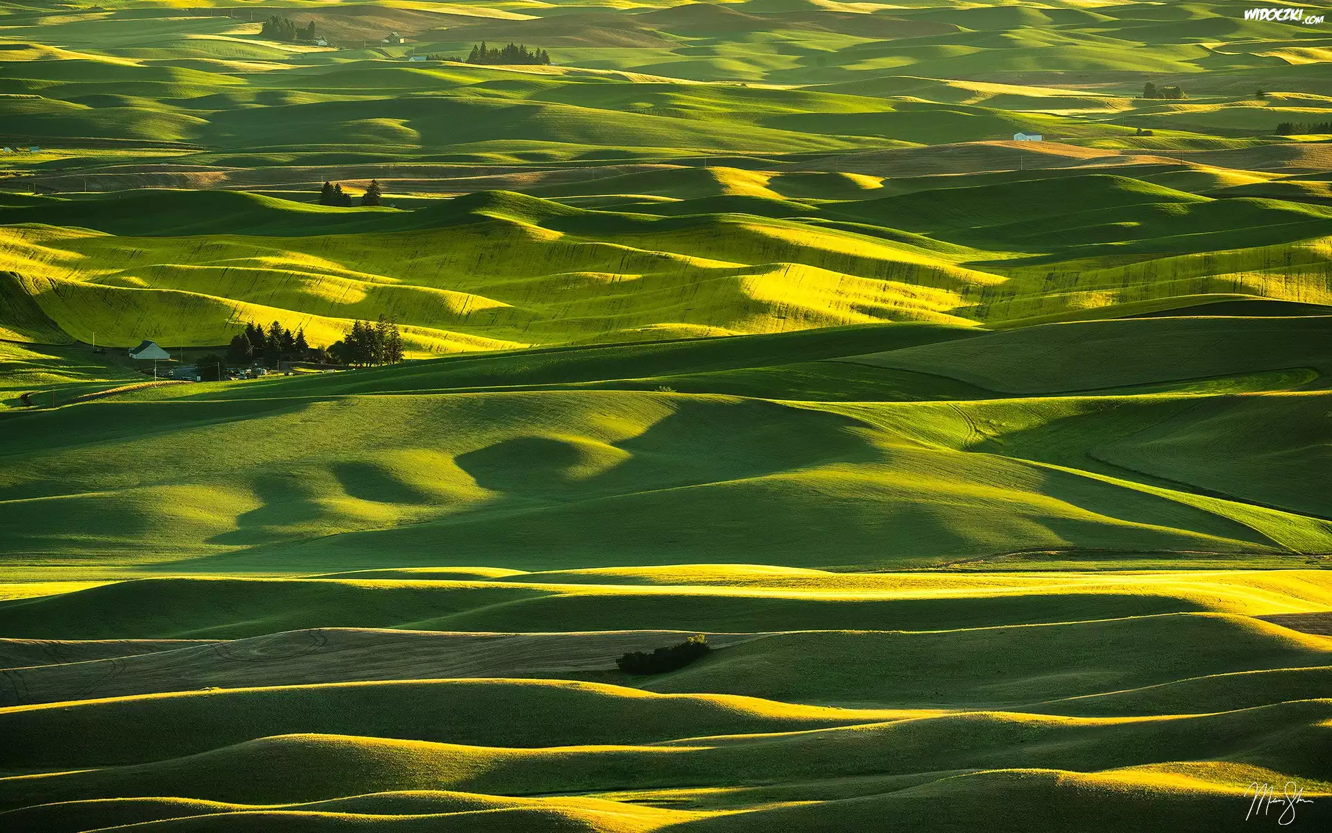 Wzgórza, Łąki, Pola, Steptoe Butte State Park, Region Palouse, Stan Waszyngton, Stany Zjednoczone