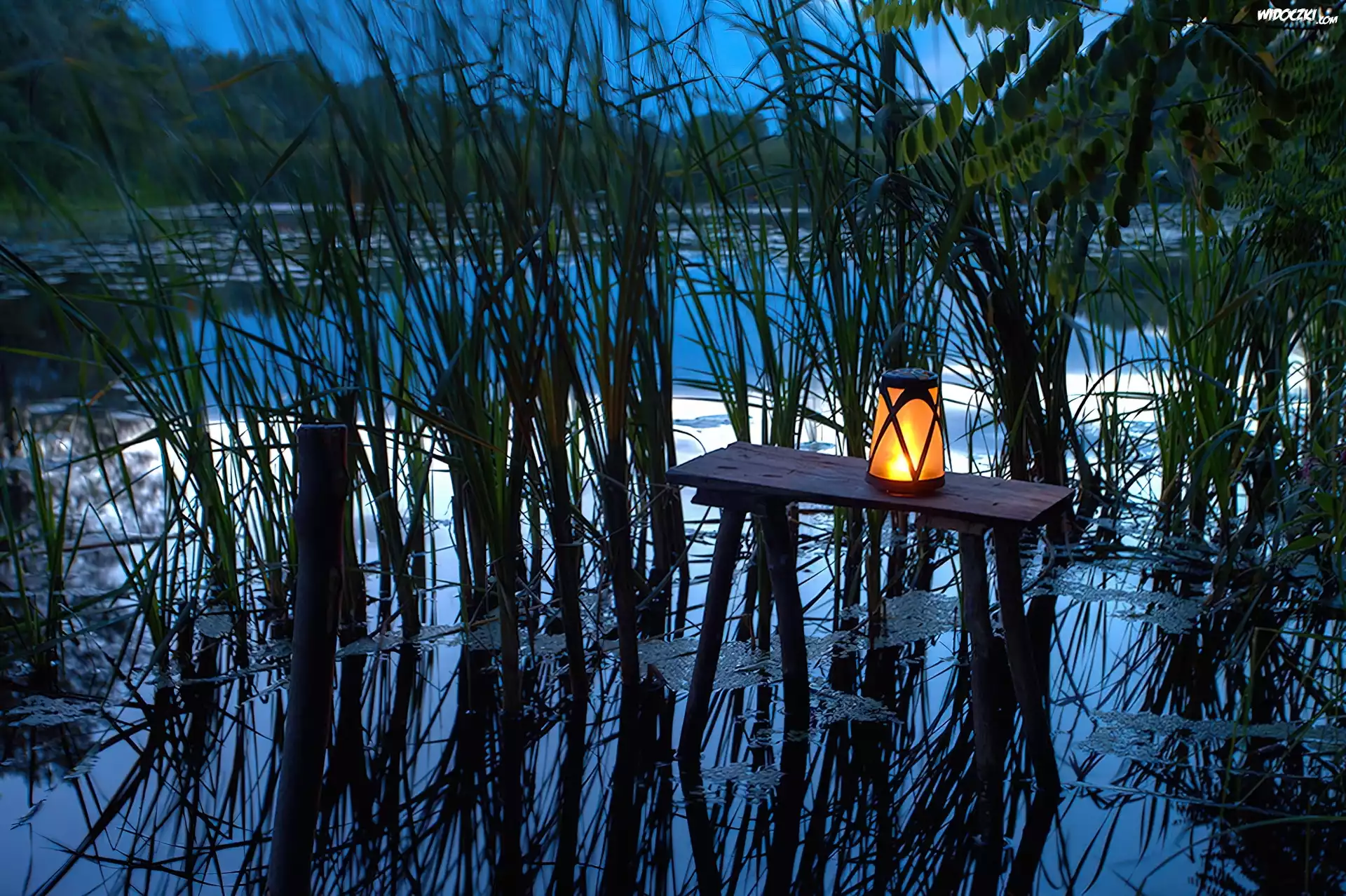 Stolik, Lampion, Suche, Trawy, Odbicie, Staw
