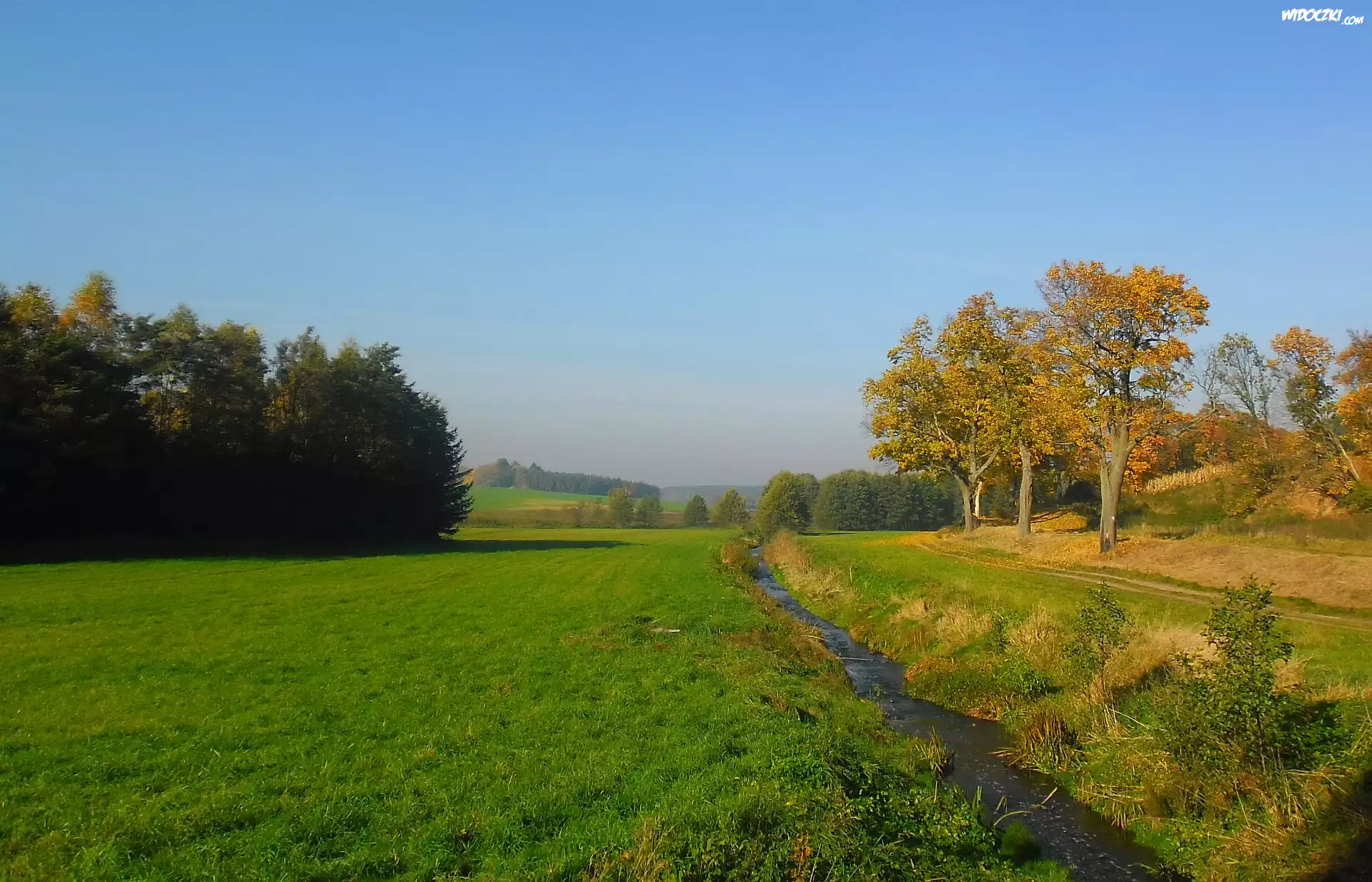 Jesień, Strumyk, Drzewa