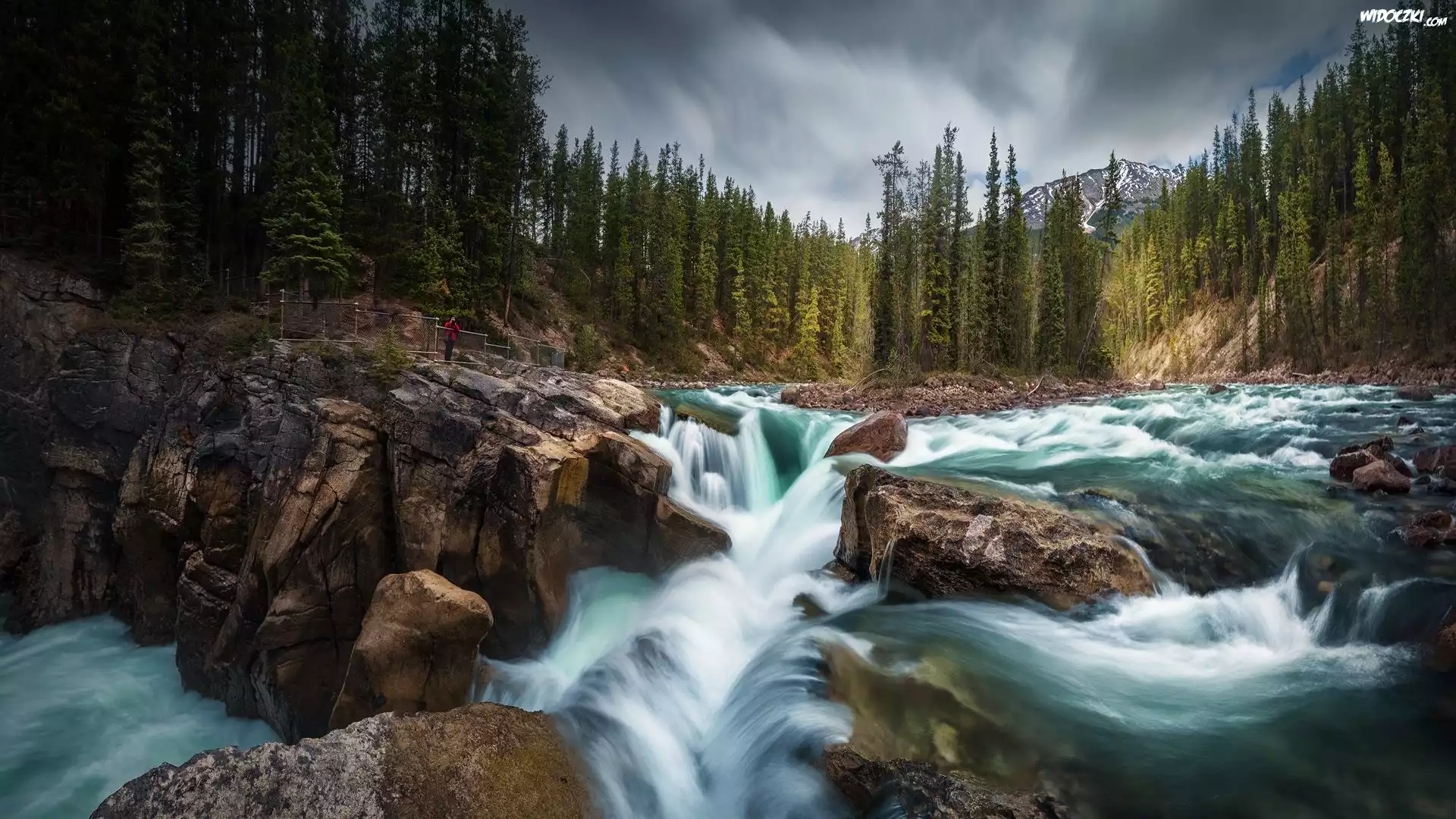 Wodospad Sunwapta Falls, Rzeka, Sunwapta River, Park Narodowy Jasper, Skały, Głazy, Drzewa, Alberta, Kanada