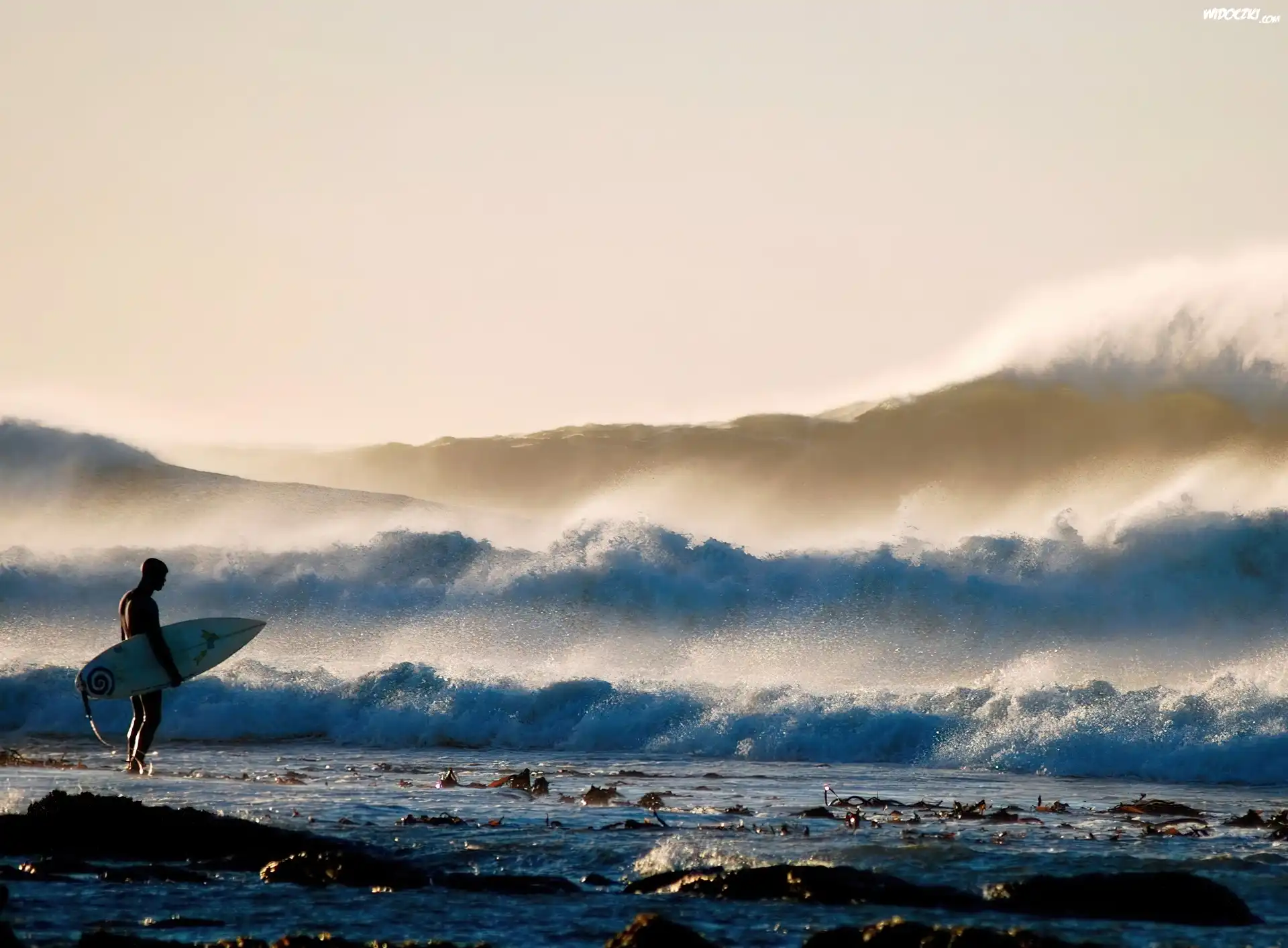Surfer, Fala
