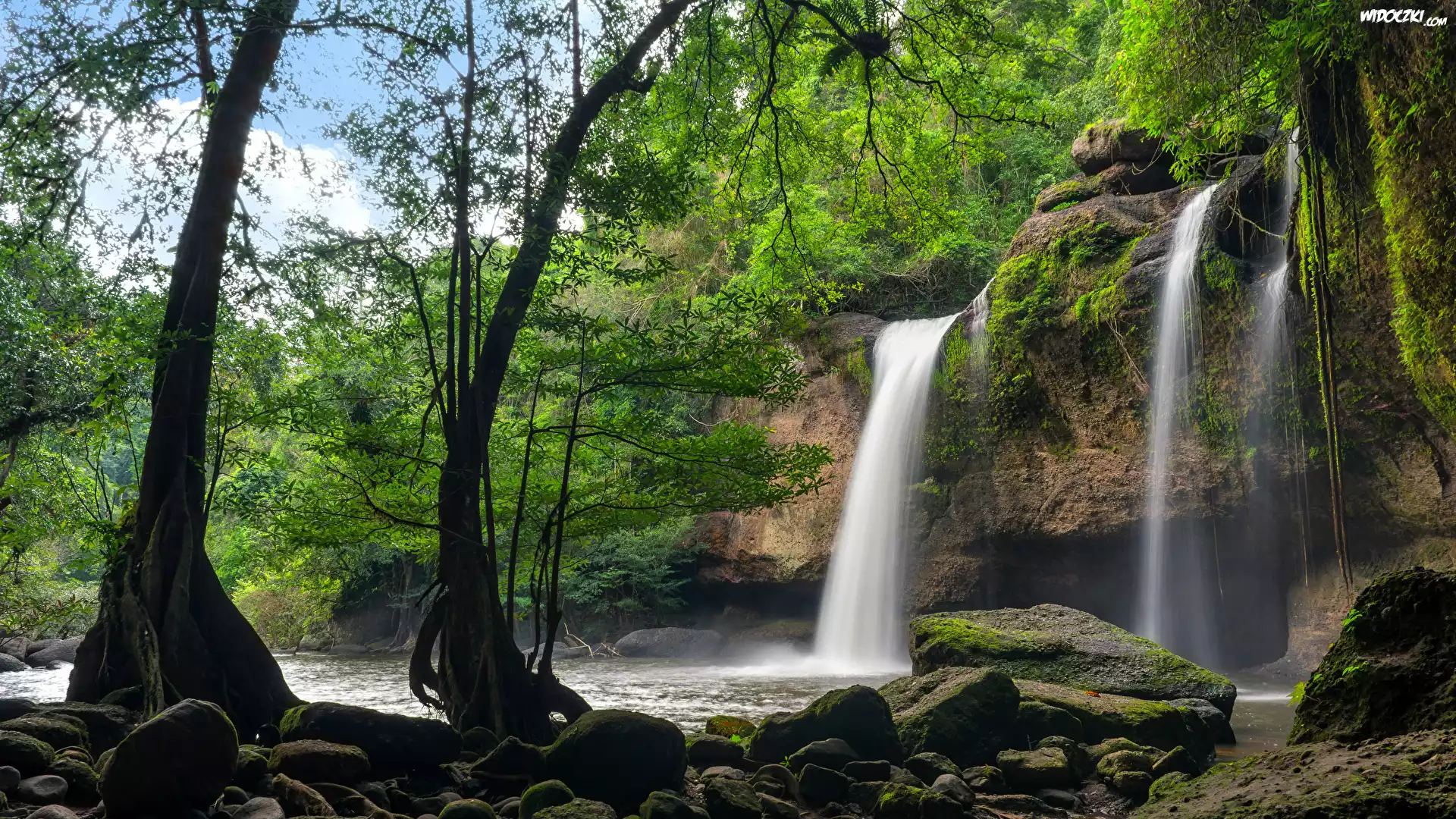 Wodospad Haew Suwat, Park Narodowy Khau Yai, Omszałe, Kamienie, Drzewa, Tajlandia