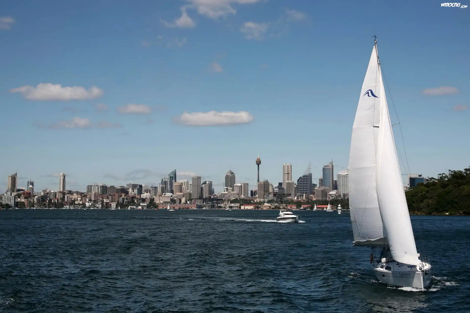 Australia, Sydney, Miasto, Zatoka, Motorówka, Żaglówki