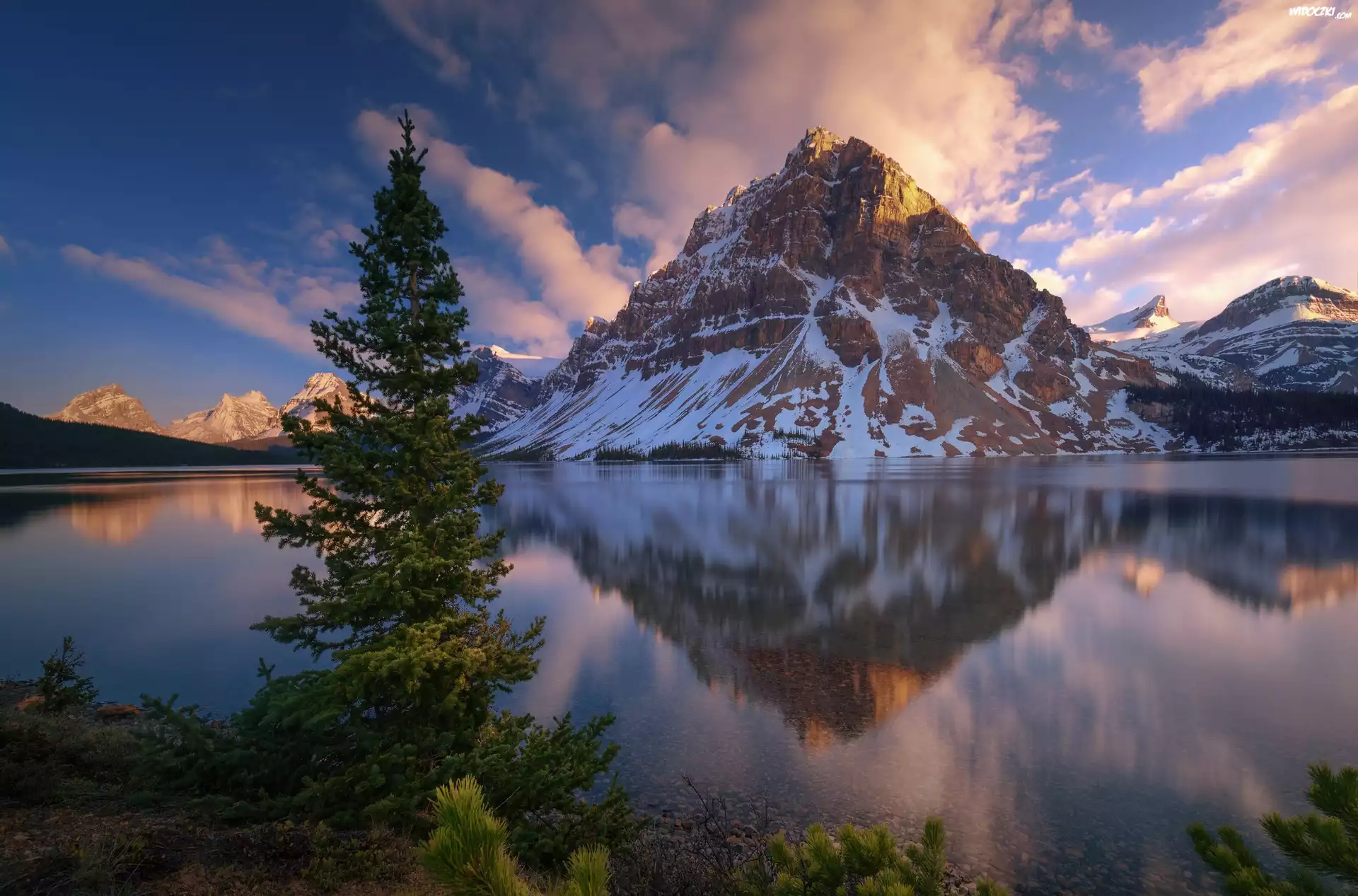 Kanada, Park Narodowy Banff, Góry, Szczyt Crowfoot Mountain, Jezioro Bow Lake, Drzewa
