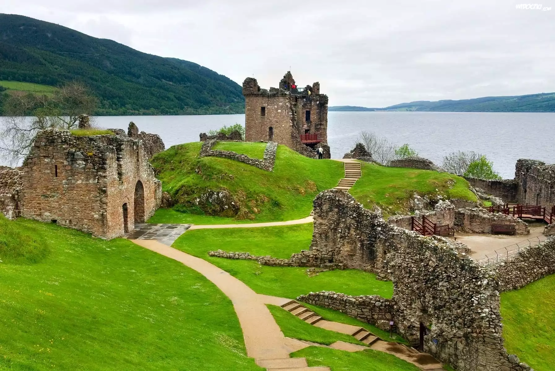 Szkocja, Ruiny, Nad, Jeziorem, Lochness