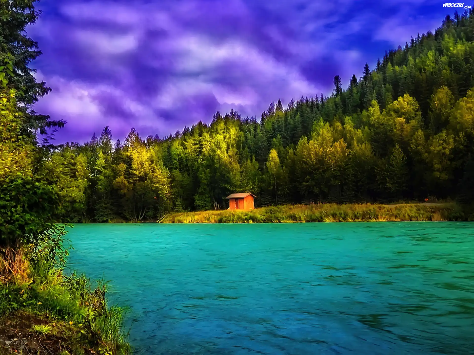 Jezioro, Szopa, Las