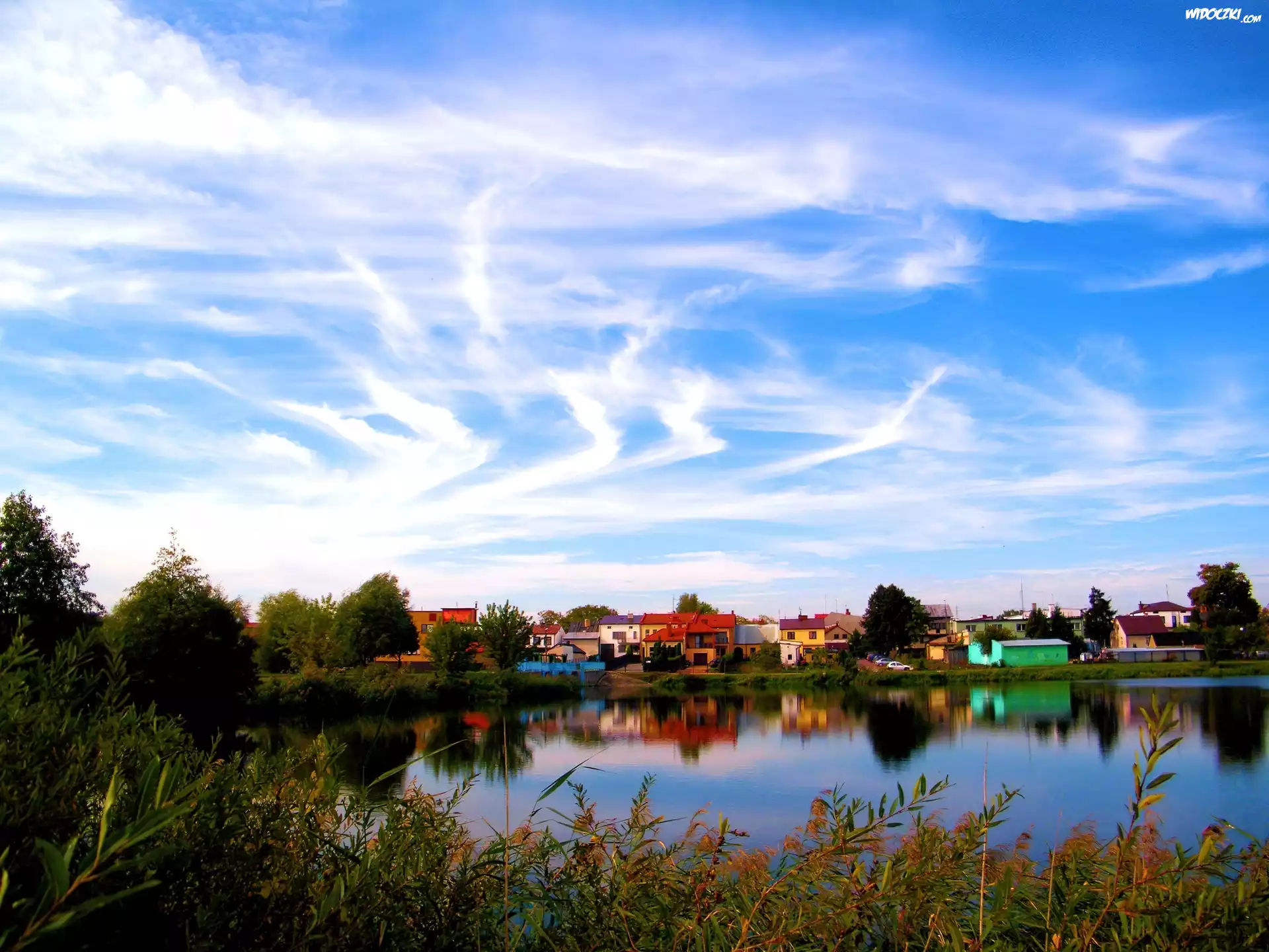 Jezioro, Szuwary, WieÅ›