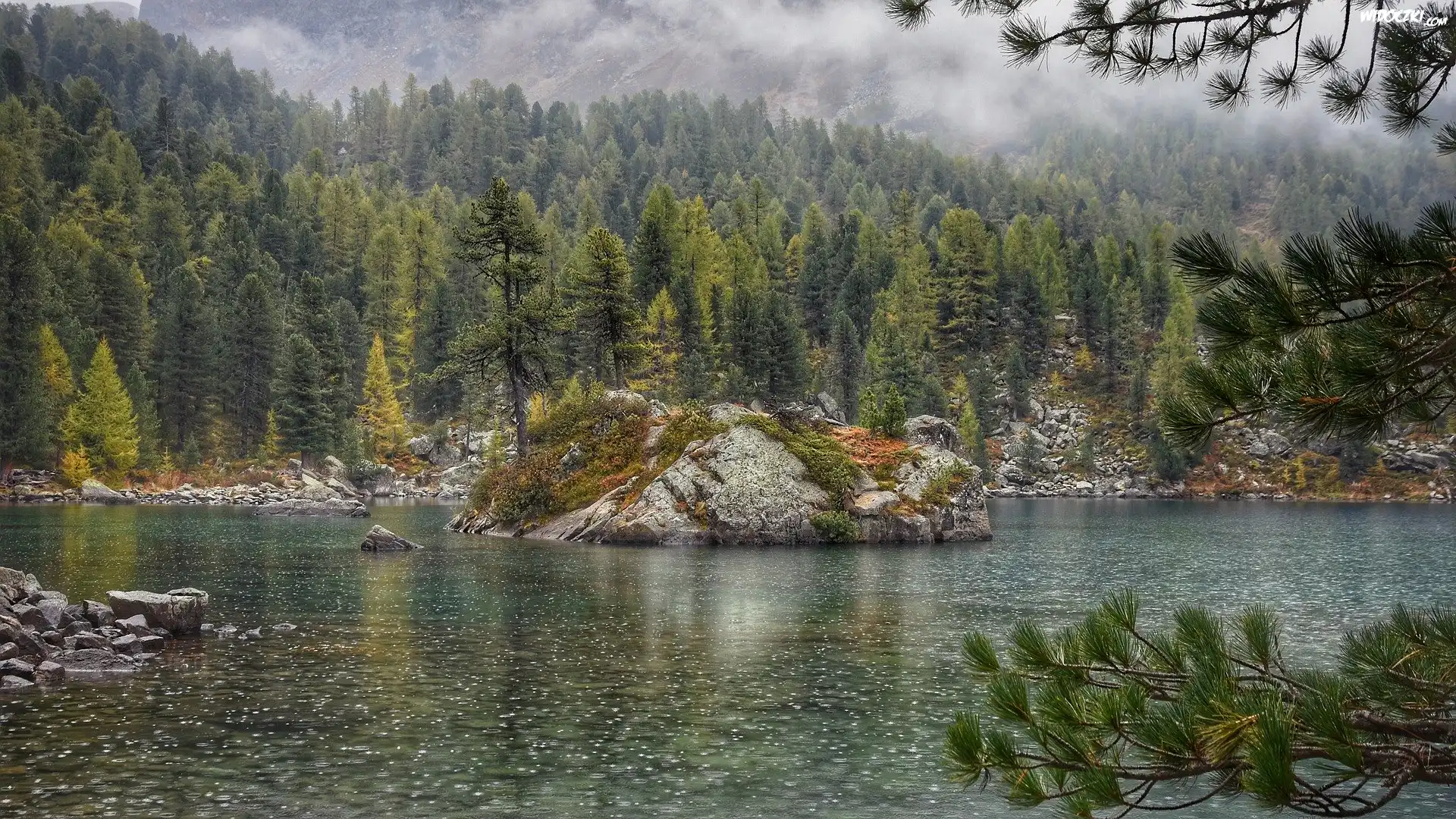 Jezioro Bergsee, Skała, Wysepka, Drzewa, Las, Kanton Berno, Szwajcaria