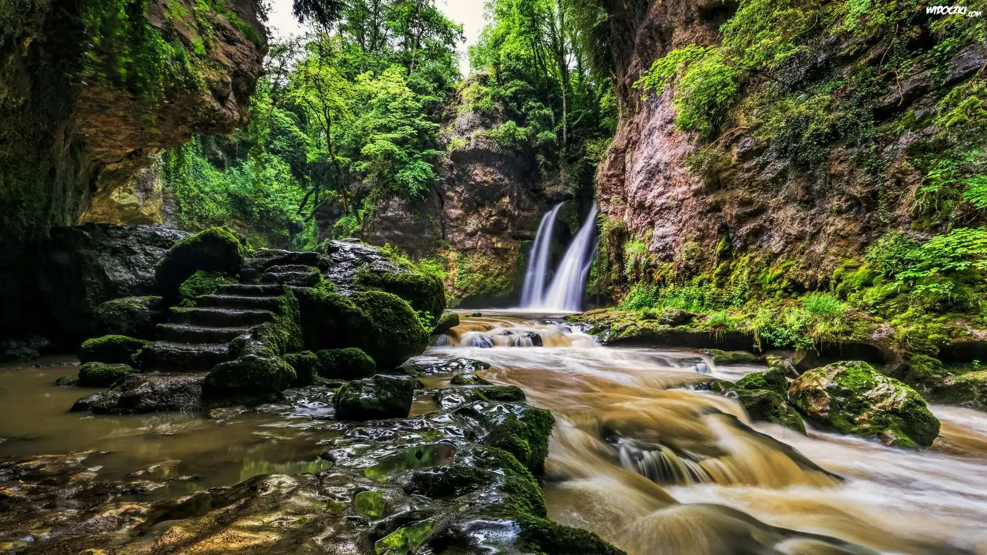 Szwajcaria, Kanton Vaud, Gmina La Sarraz, Rzeka Venoge, Wodospad Tine de Conflens, Skały, Schody, Kamienie, Rzeka, Drzewa