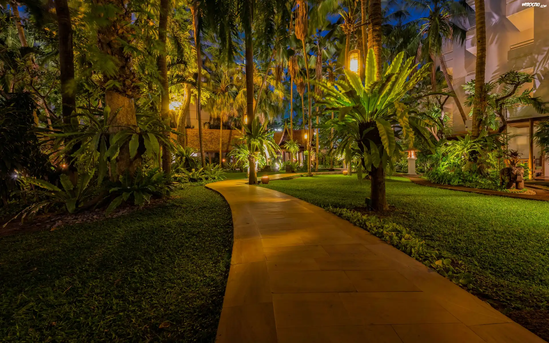 Tajlandia, Pattaya, Park, Palmy, Tropiki