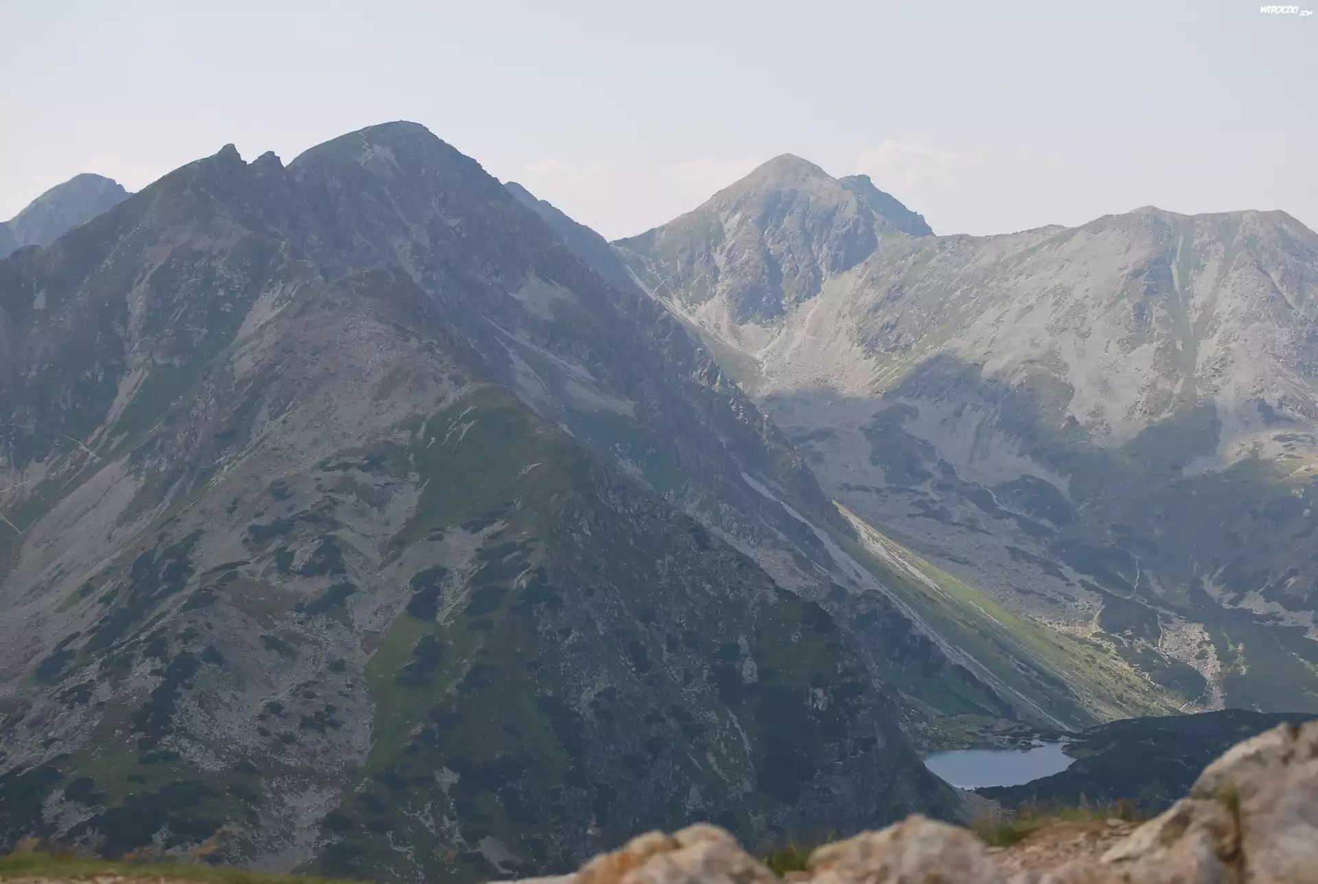 Tatry, Słowackie, Góry, Wołowiec