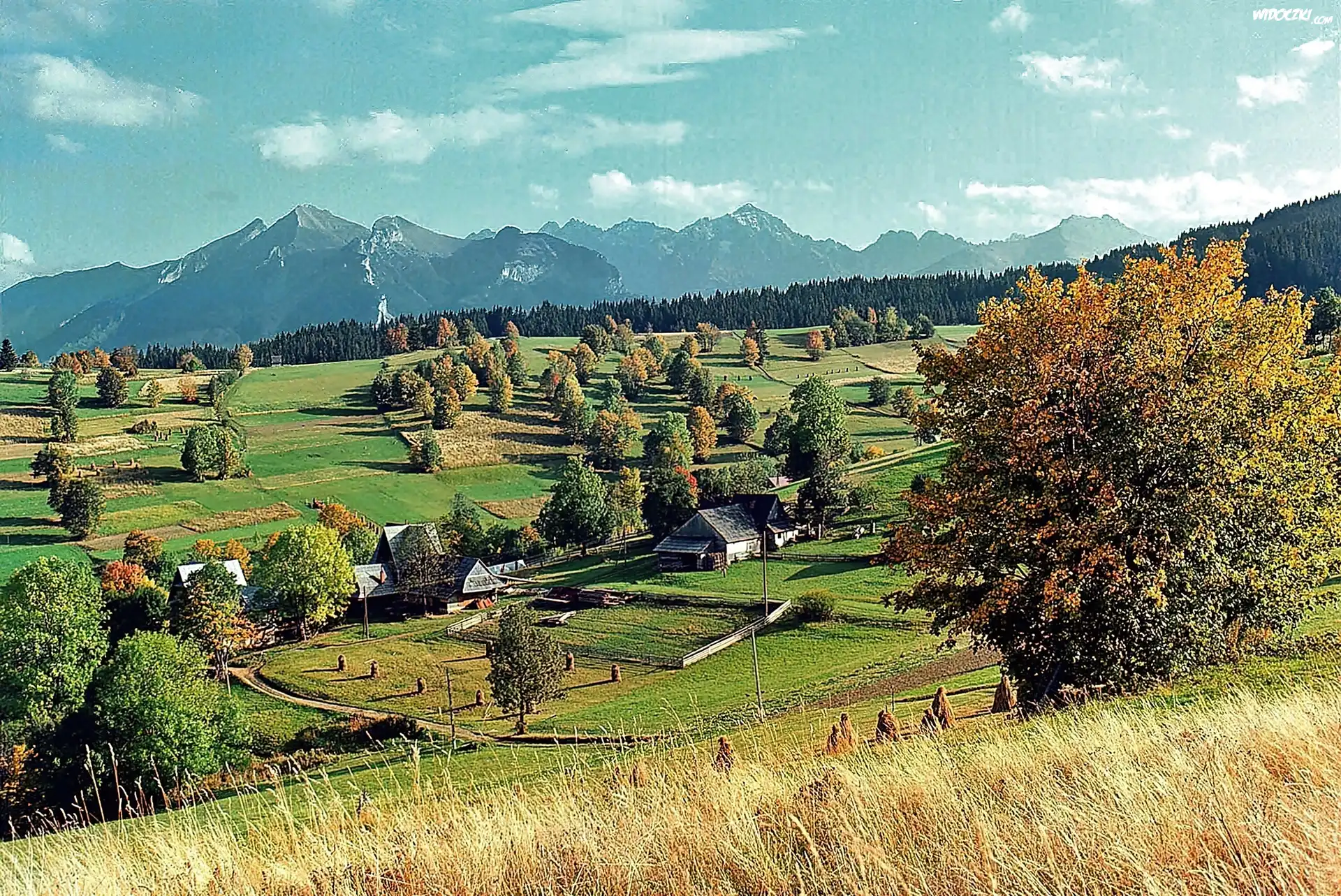 Tatry, Lasy, Pola, Wieś