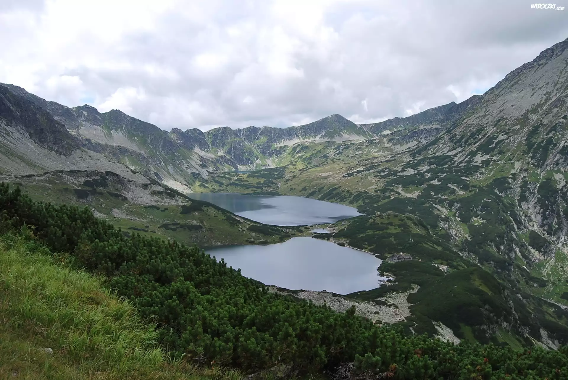 Tatry, Dolina Pięciu Stawów, Jeziora