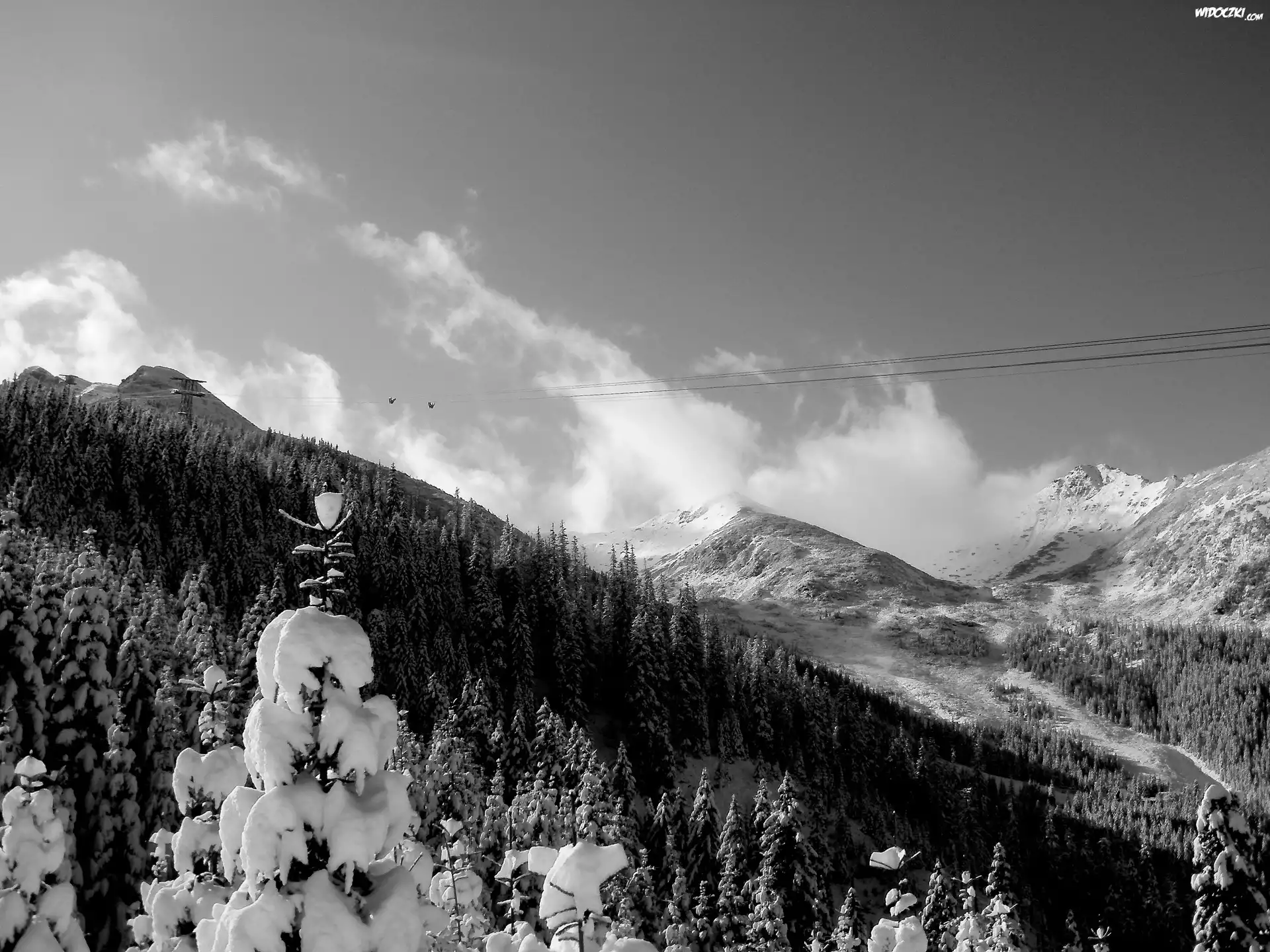 Tatry