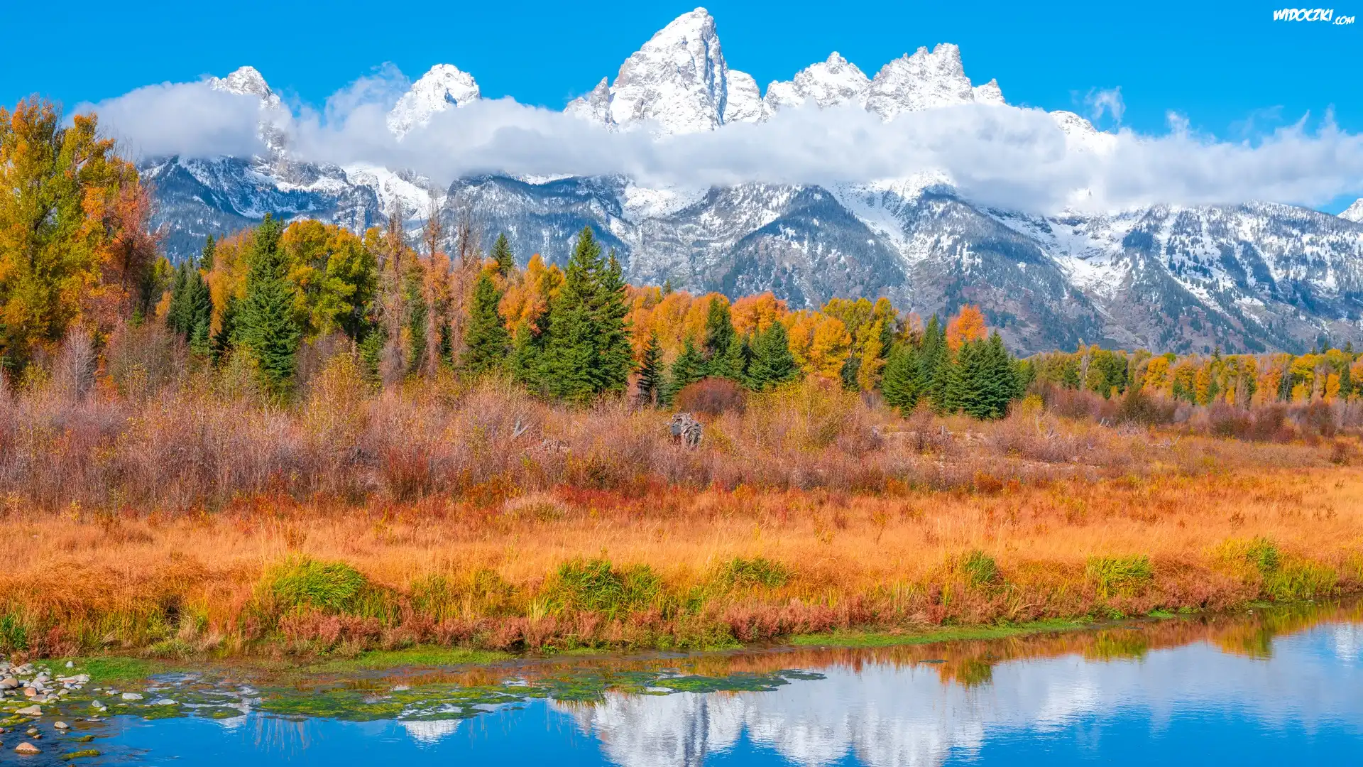 Jesień, Park Narodowy Grand Teton, Rzeka, Góry Teton Range, Drzewa, Stan Wyoming, Stany Zjednoczone