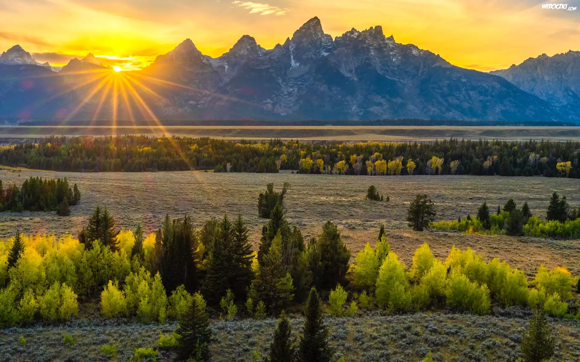 Stany Zjednoczone, Wyoming, Park Narodowy Grand Teton, Promienie słońca, Góry, Drzewa