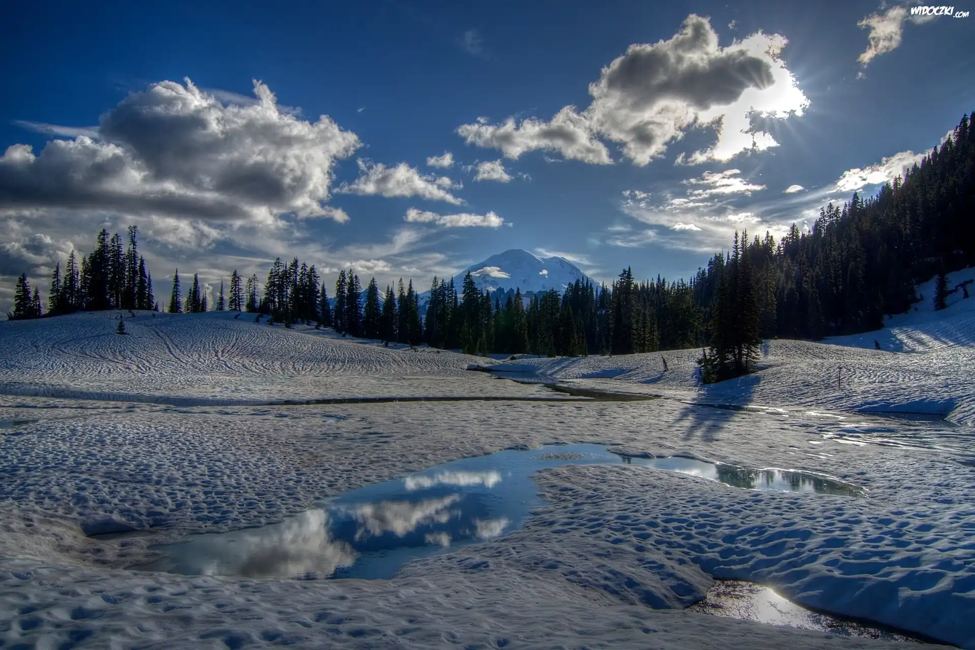 Stany Zjednoczone, Stan Waszyngton, Park Narodowy Mount Rainier, Zima, Jezioro Tipsoo, Las, Promienie Słońca