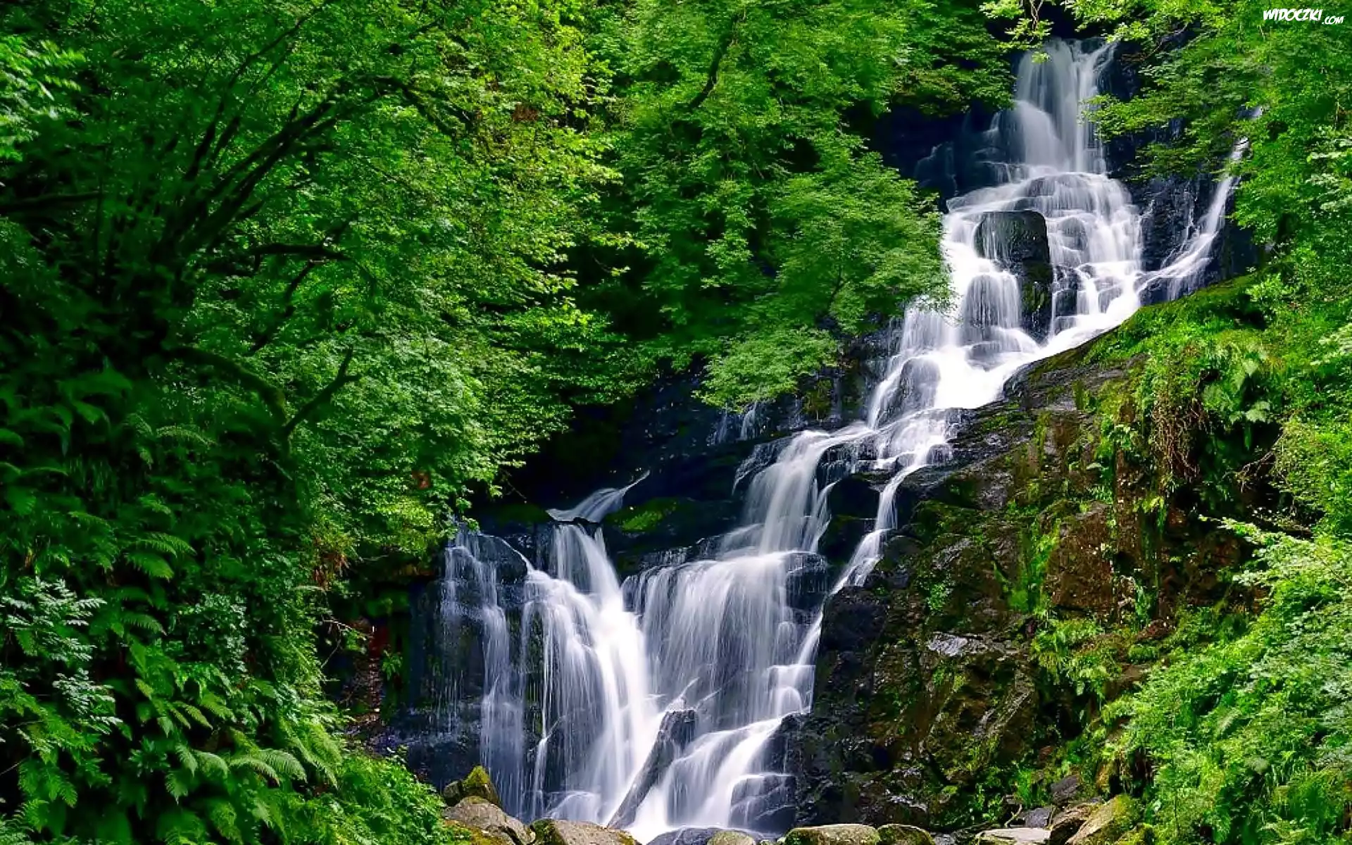 Irlandia, Hrabstwo Kerry, Park Narodowy Killarney, Wodospad Torc, Easach Toirc