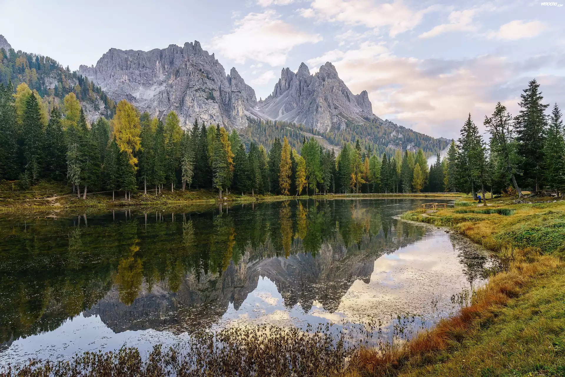 Włochy, Dolomity, Jezioro Lago di Antorno, Góry, Las, Drzewa, Trawa