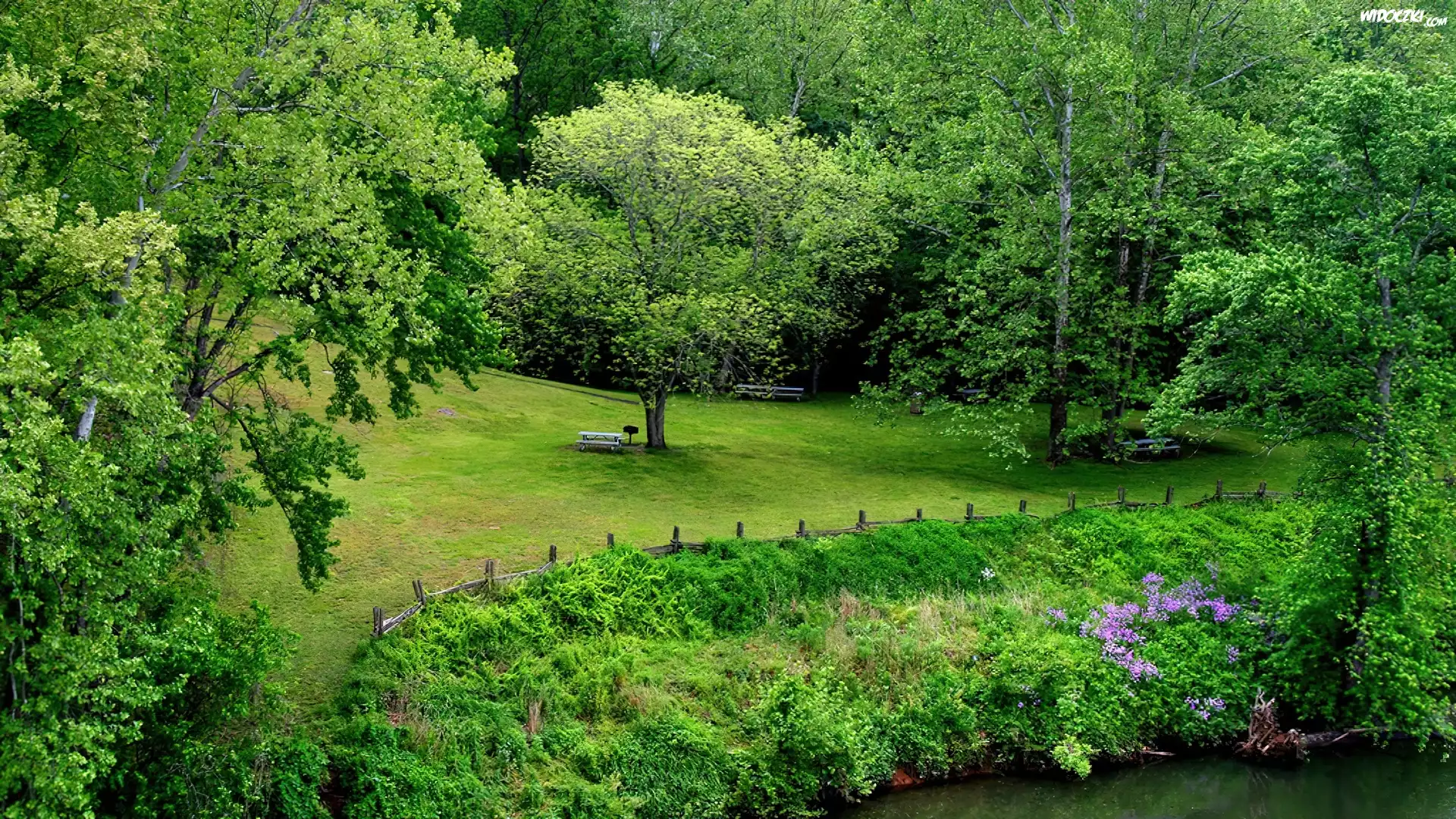 Park, Trawnik, Ławki