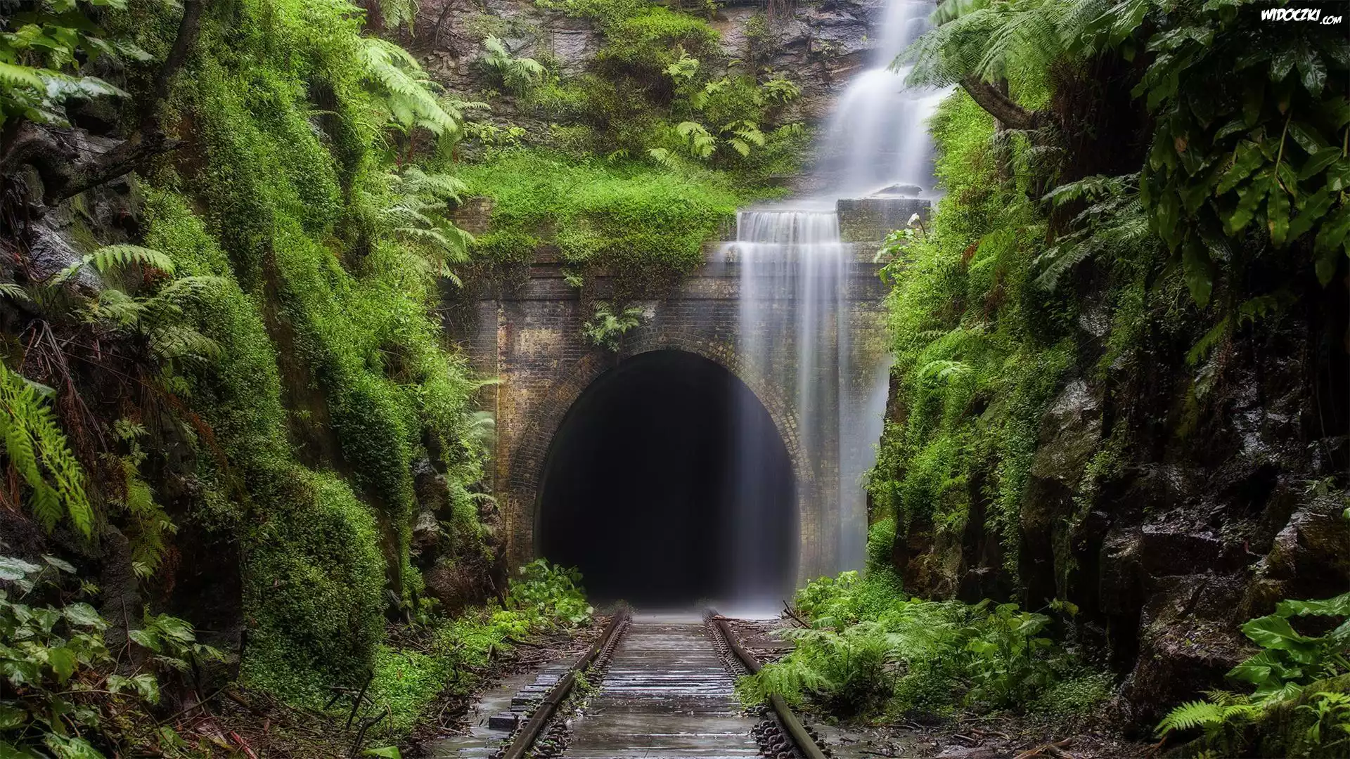 Tory, Tunel, Zieleń