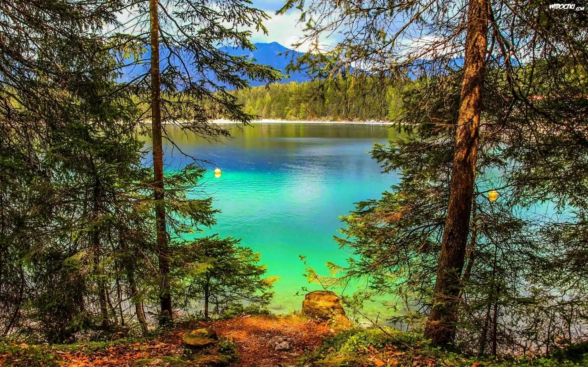 Turkusowe, Jezioro, Eibsee, Las, Bawaria, Niemcy
