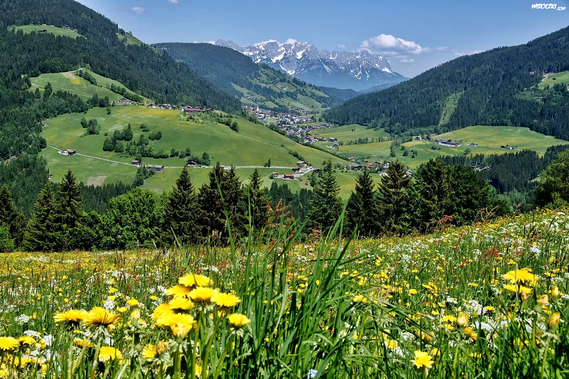 Tyrol, Dolina, Wildschoenau, Lasy, Łąka, Wioska