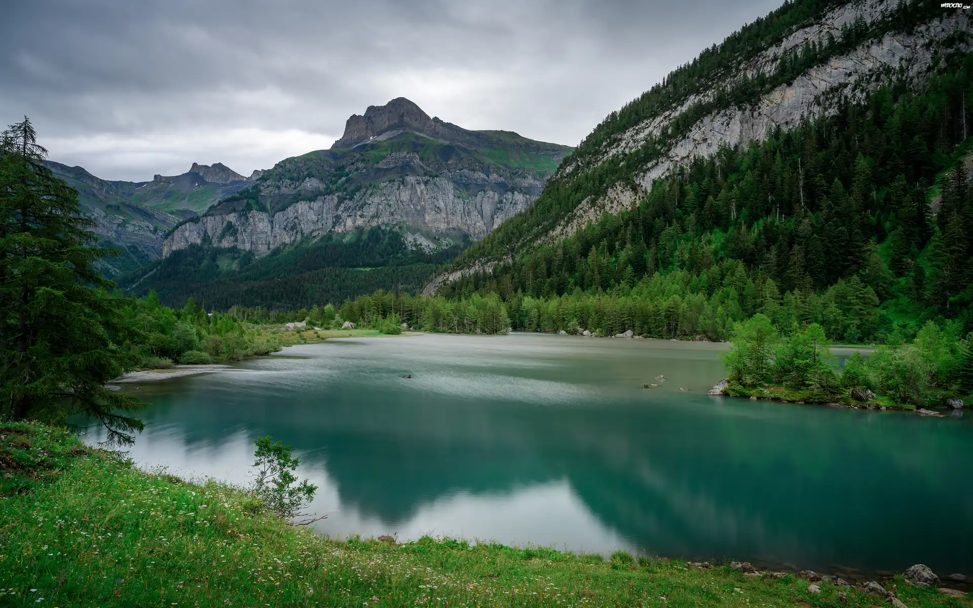 Szwajcaria, Kanton Valais, Góry, Alpy Berneńskie, Jezioro, Lac de Derborence, Lasy